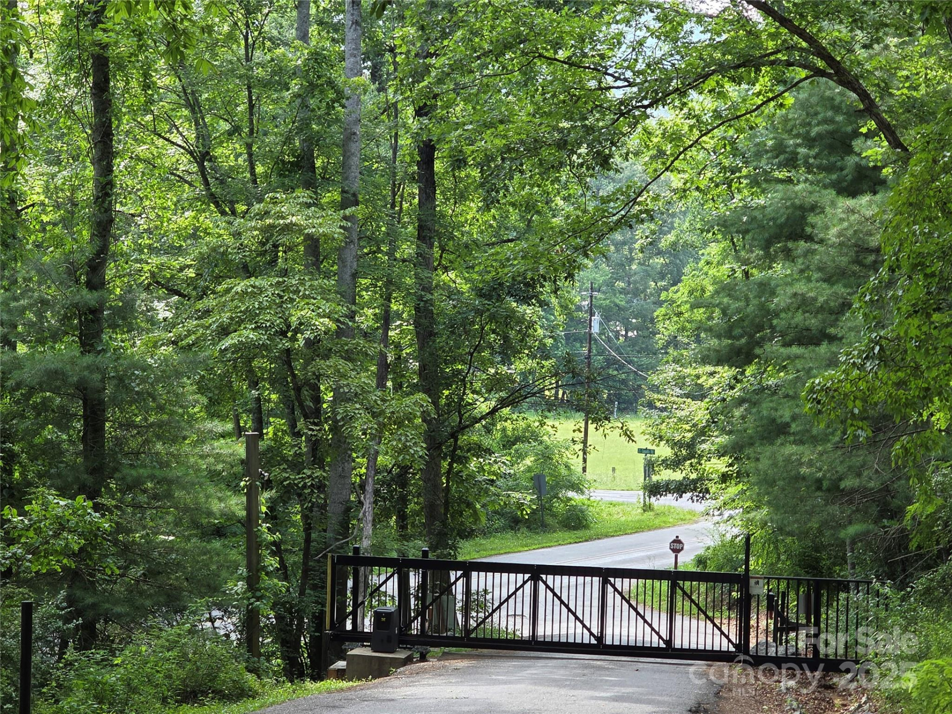 800610 Ivy Road #217 - Photo 29