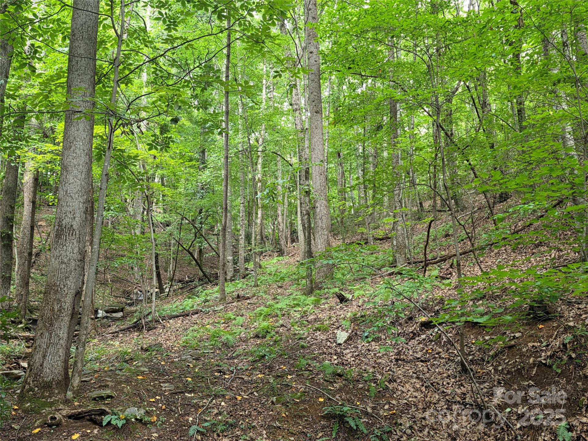 800610 Ivy Road #217 - Photo 5