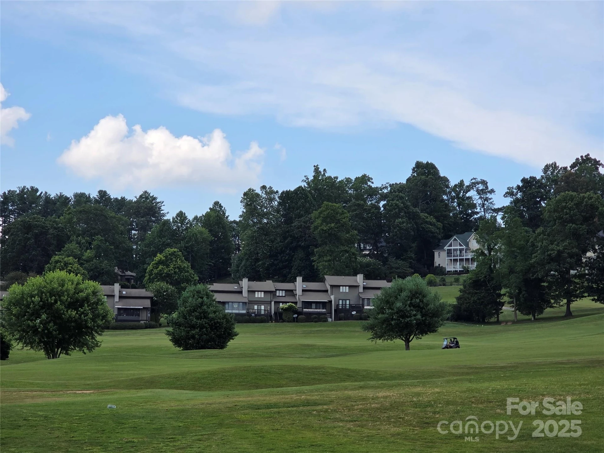 800610 Ivy Road #217 - Photo 7