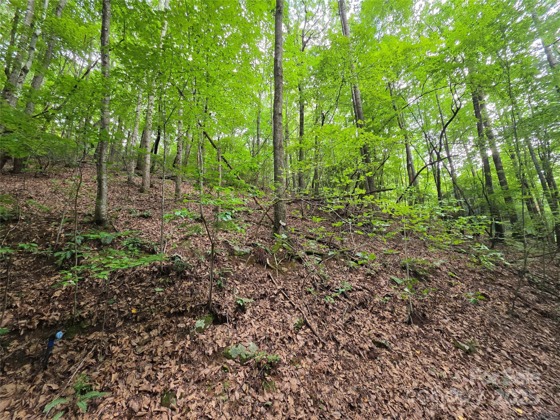 801399 Ivy Road #216 - Photo 4