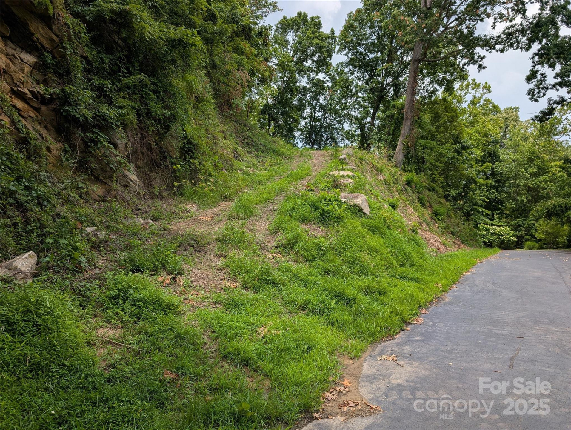 99999 Running Deer Lane #74 - Photo 3