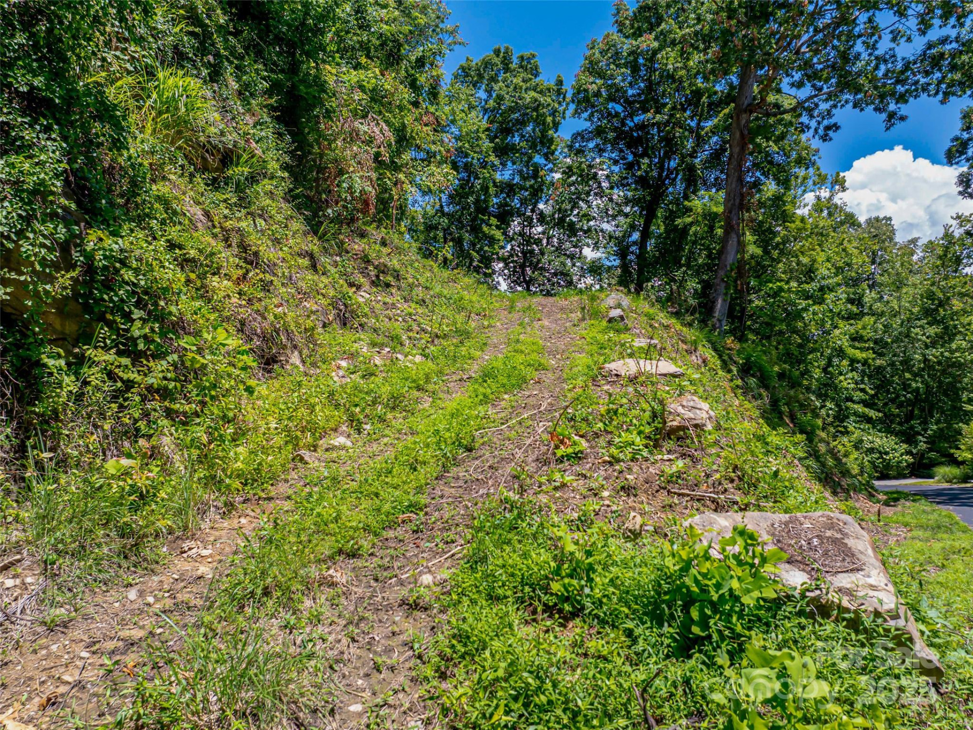 99999 Running Deer Lane #74 - Photo 4