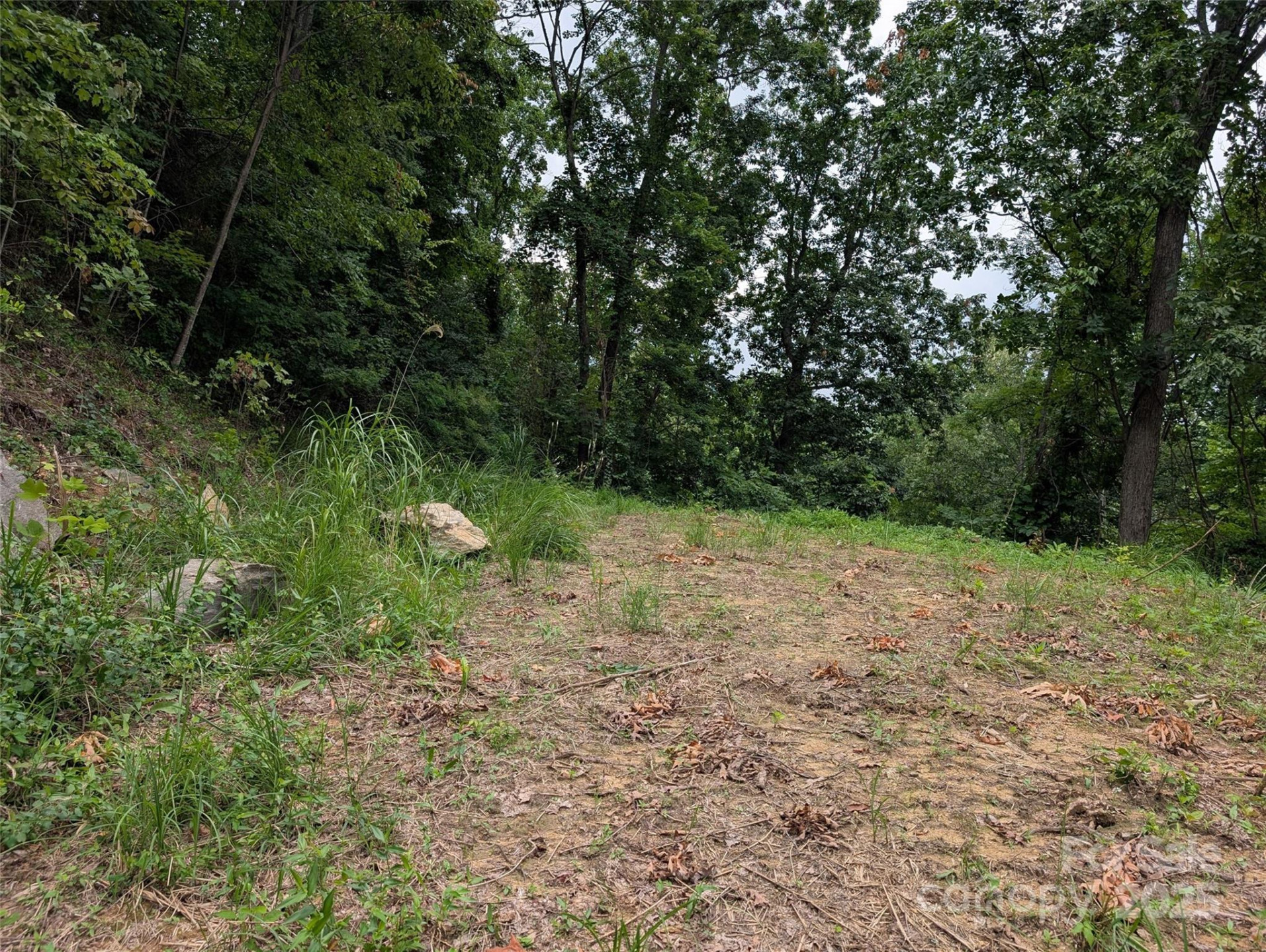 99999 Running Deer Lane #74 - Photo 6