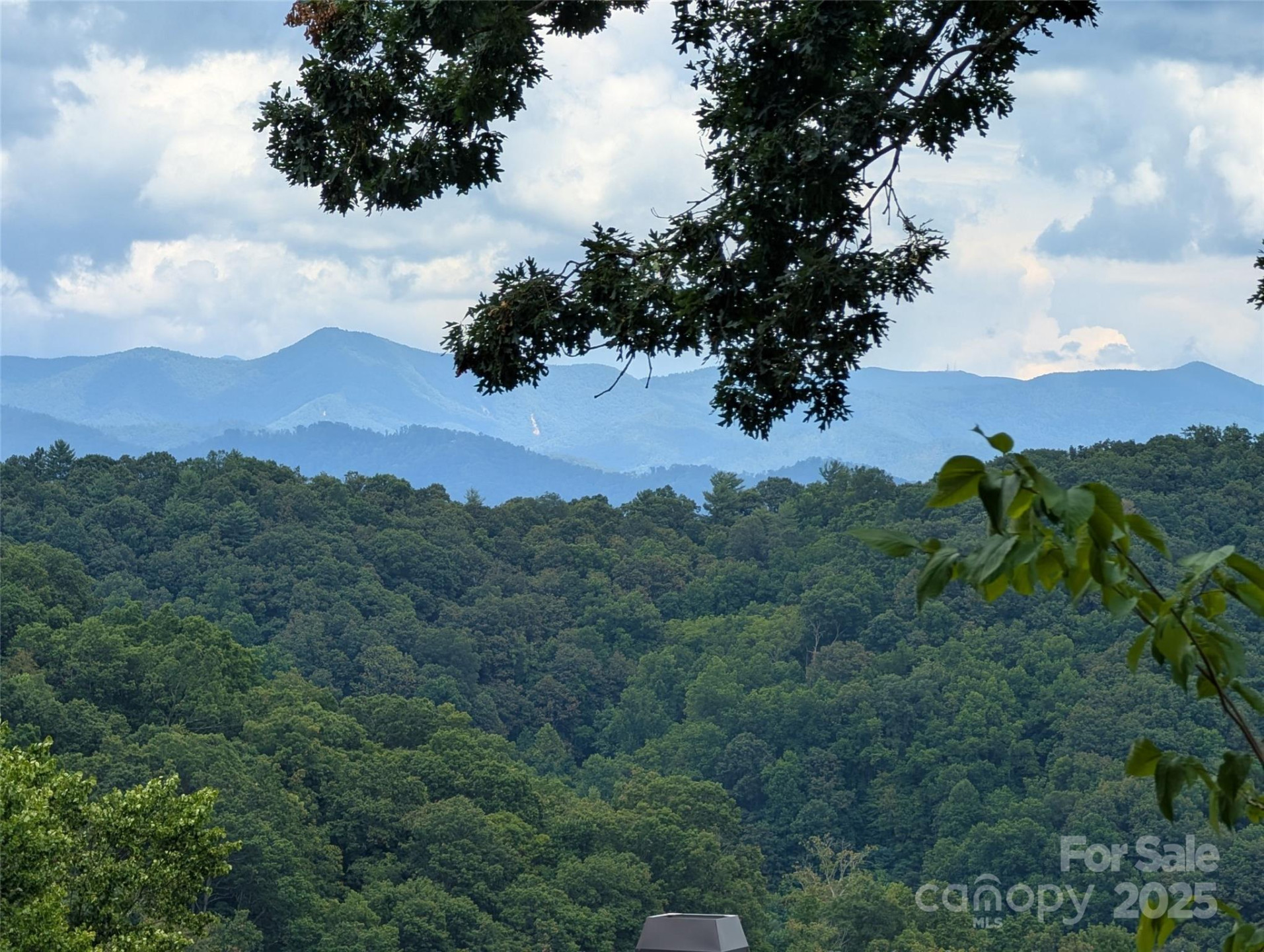 99999 Running Deer Lane #74 - Photo 8