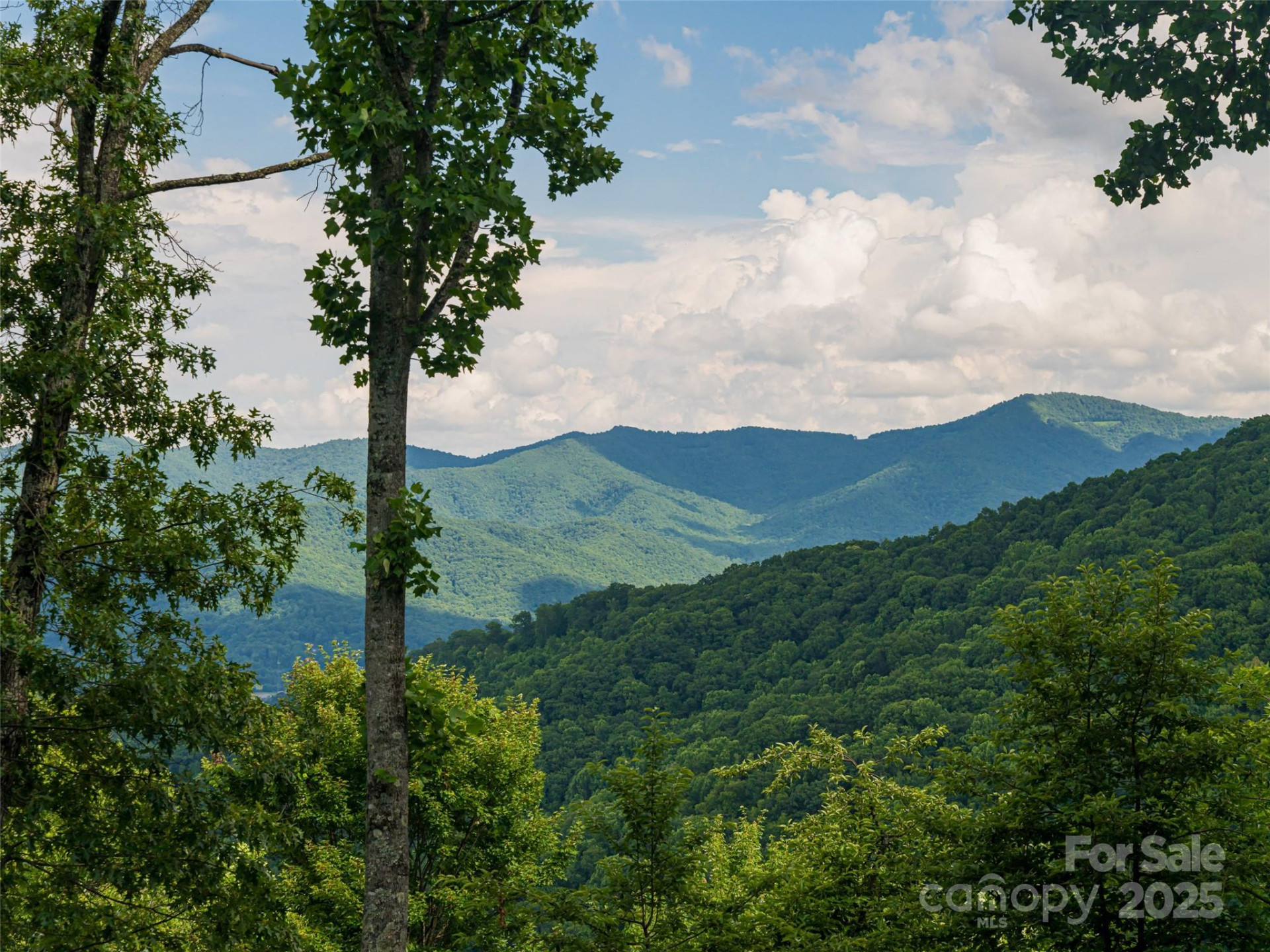 130 Bluff Creek Terrace - Photo 22