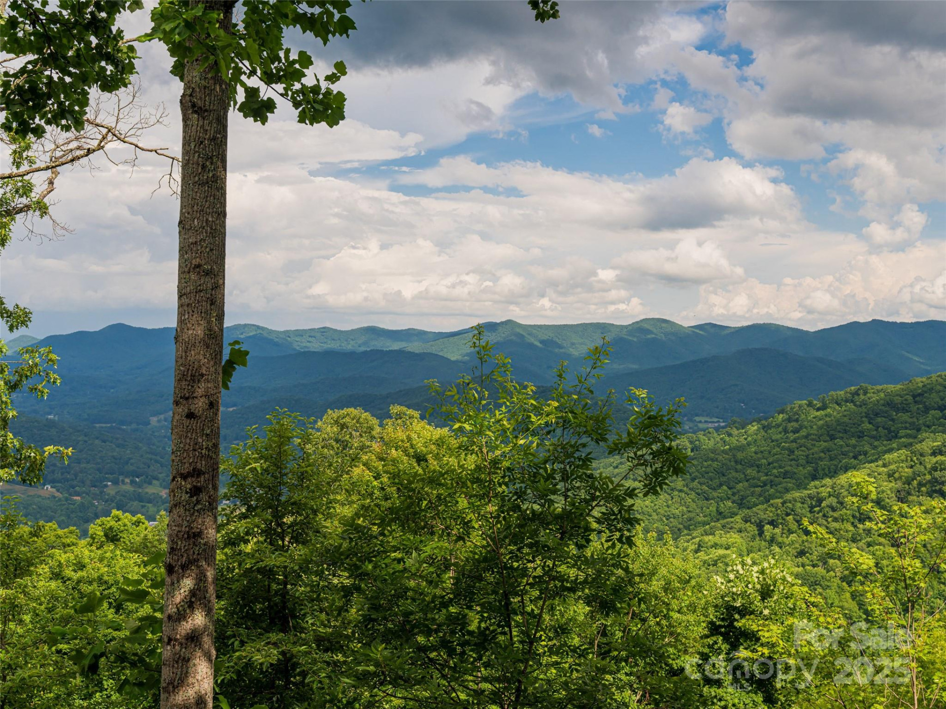 130 Bluff Creek Terrace - Photo 28