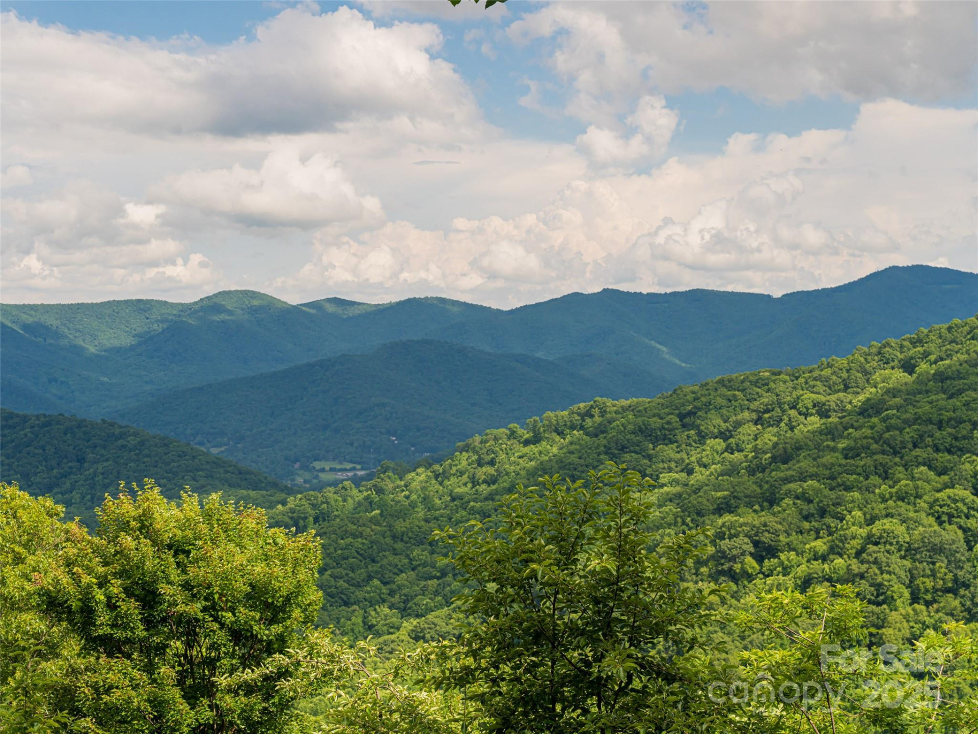 130 Bluff Creek Terrace - Photo 4