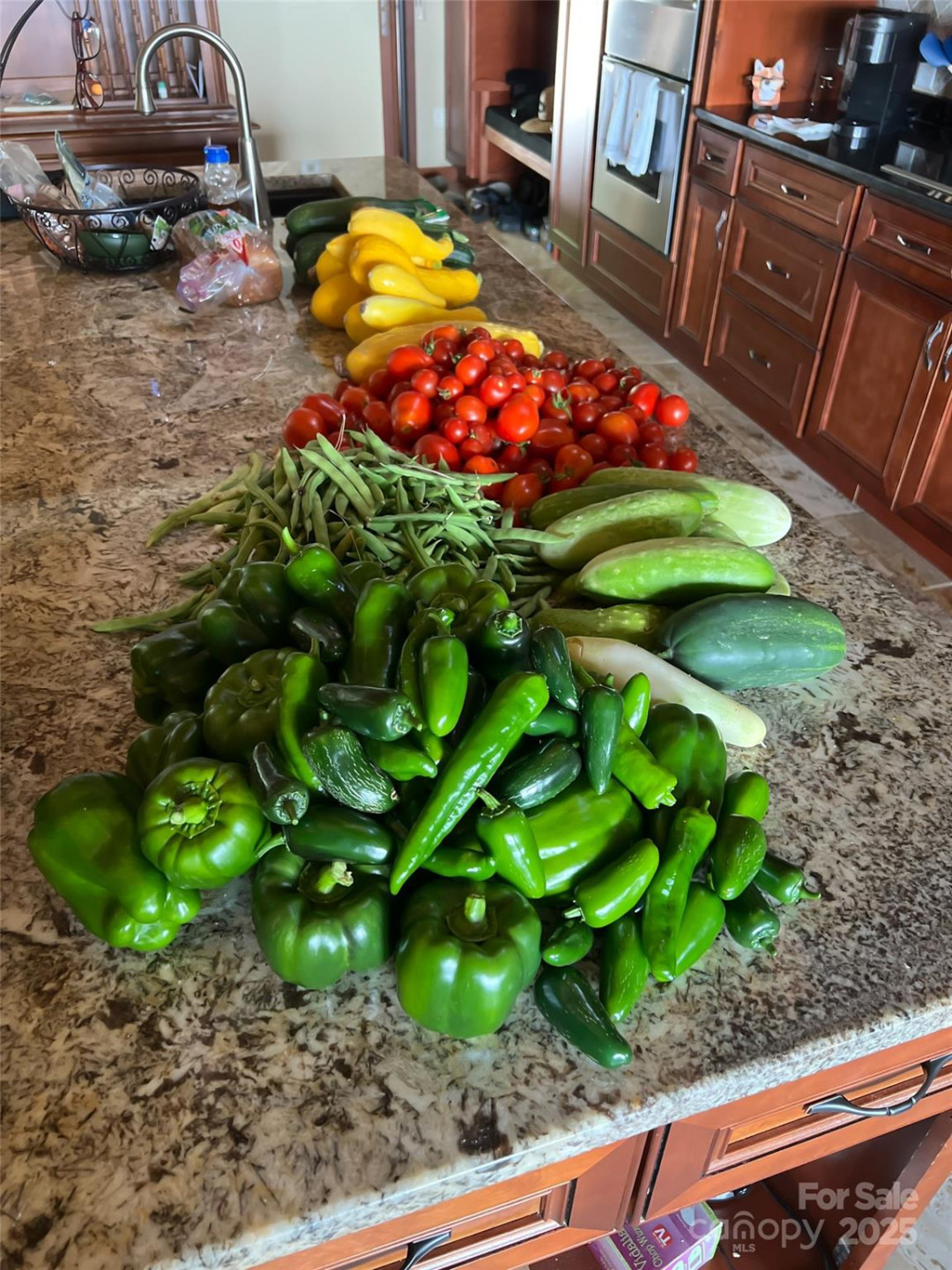 130 Bluff Creek Terrace - Photo 42