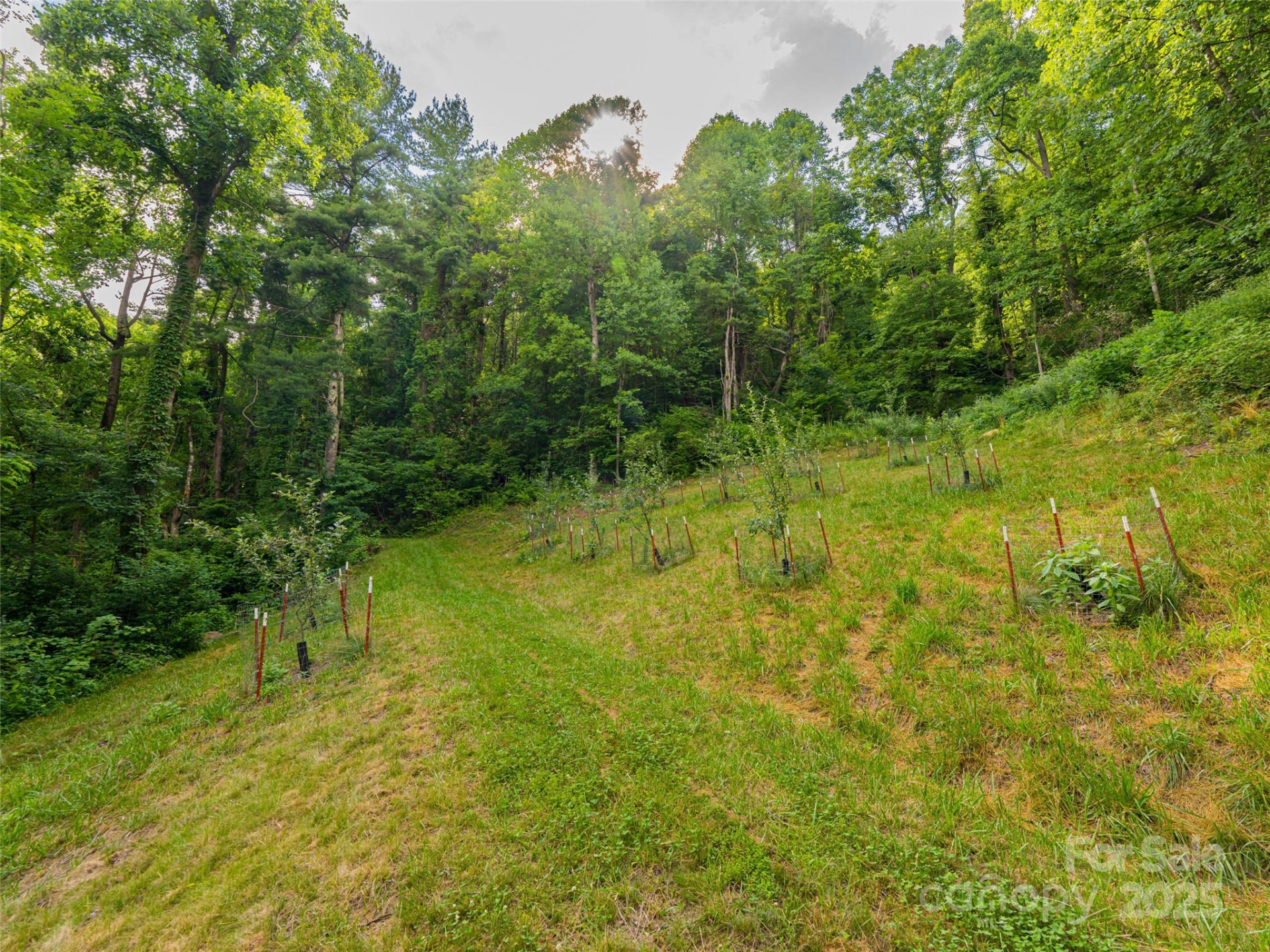 130 Bluff Creek Terrace - Photo 44