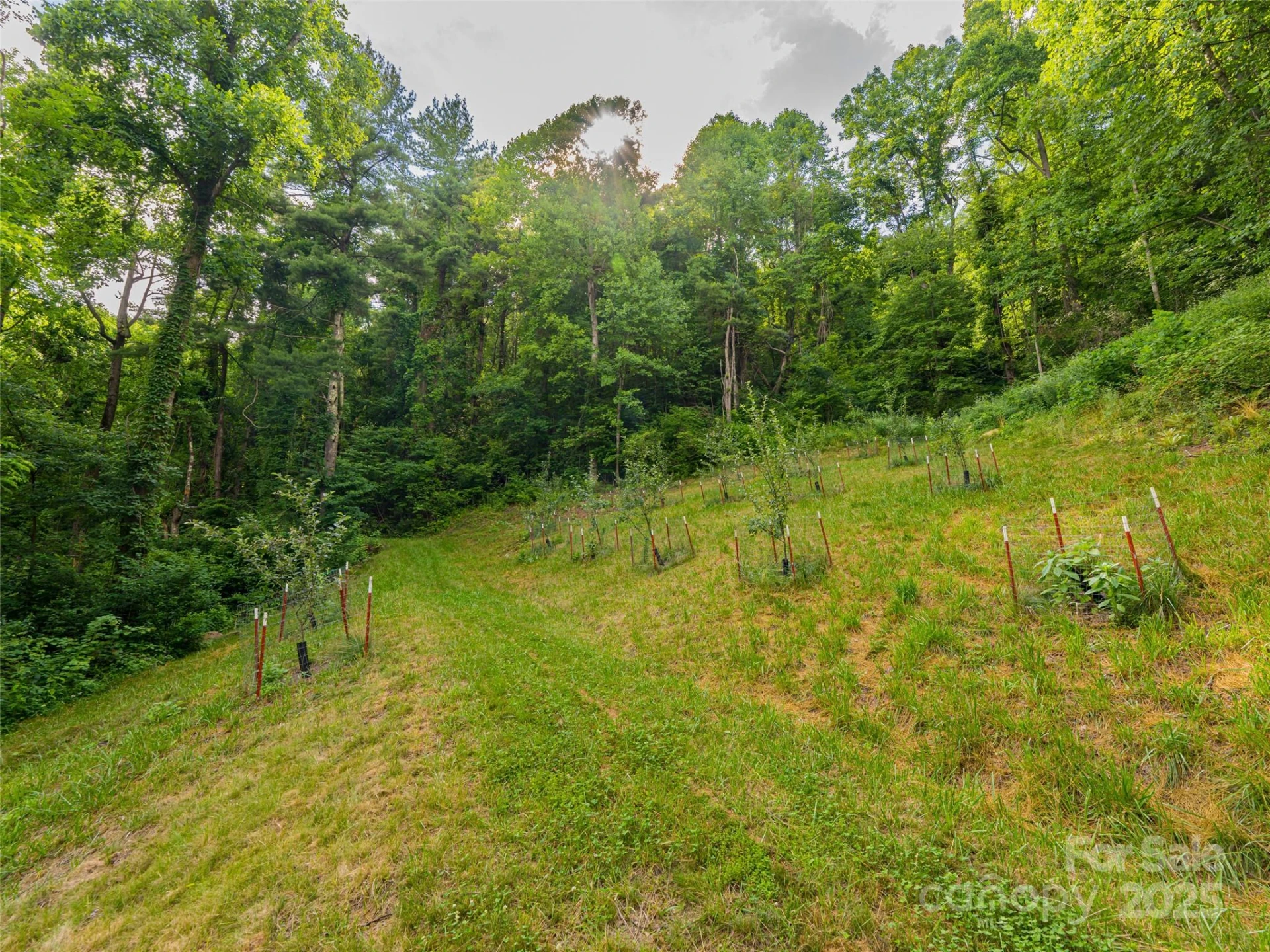 130 Bluff Creek Terrace - Photo 44