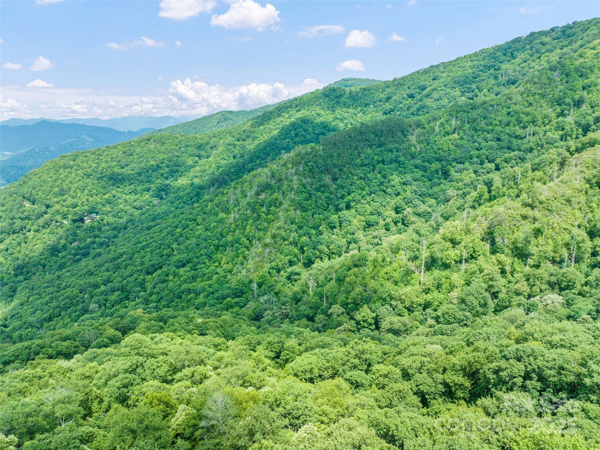 201 Chickadee Lane - Photo 3