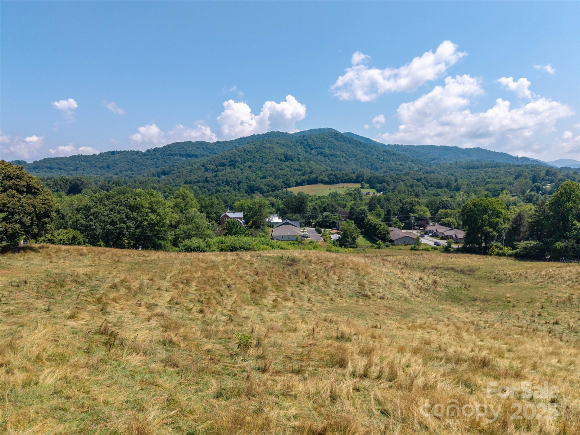 0000 Summer Breeze Drive - Photo 3