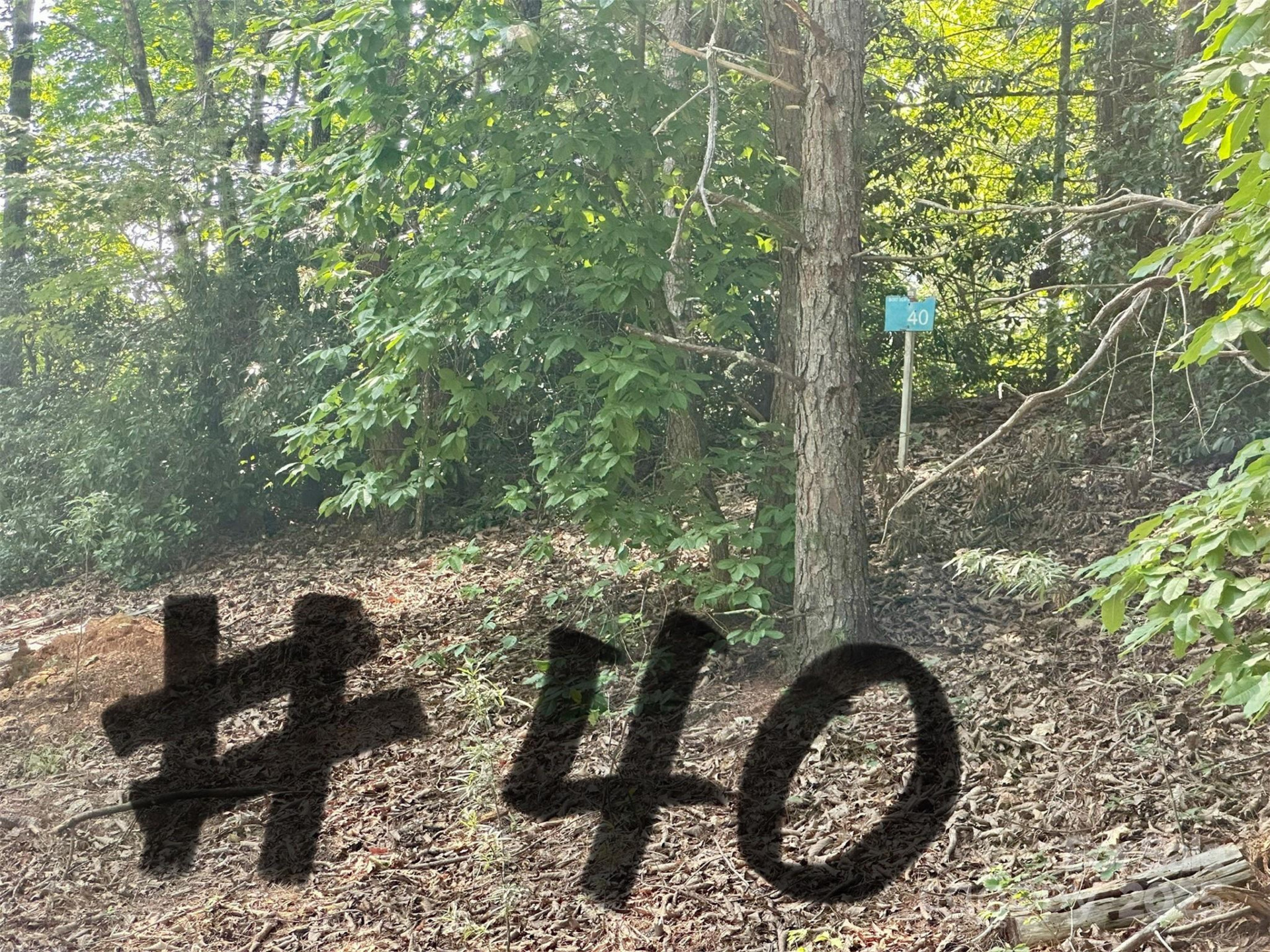 00 Plantation Drive #40 & 41 - Photo 4