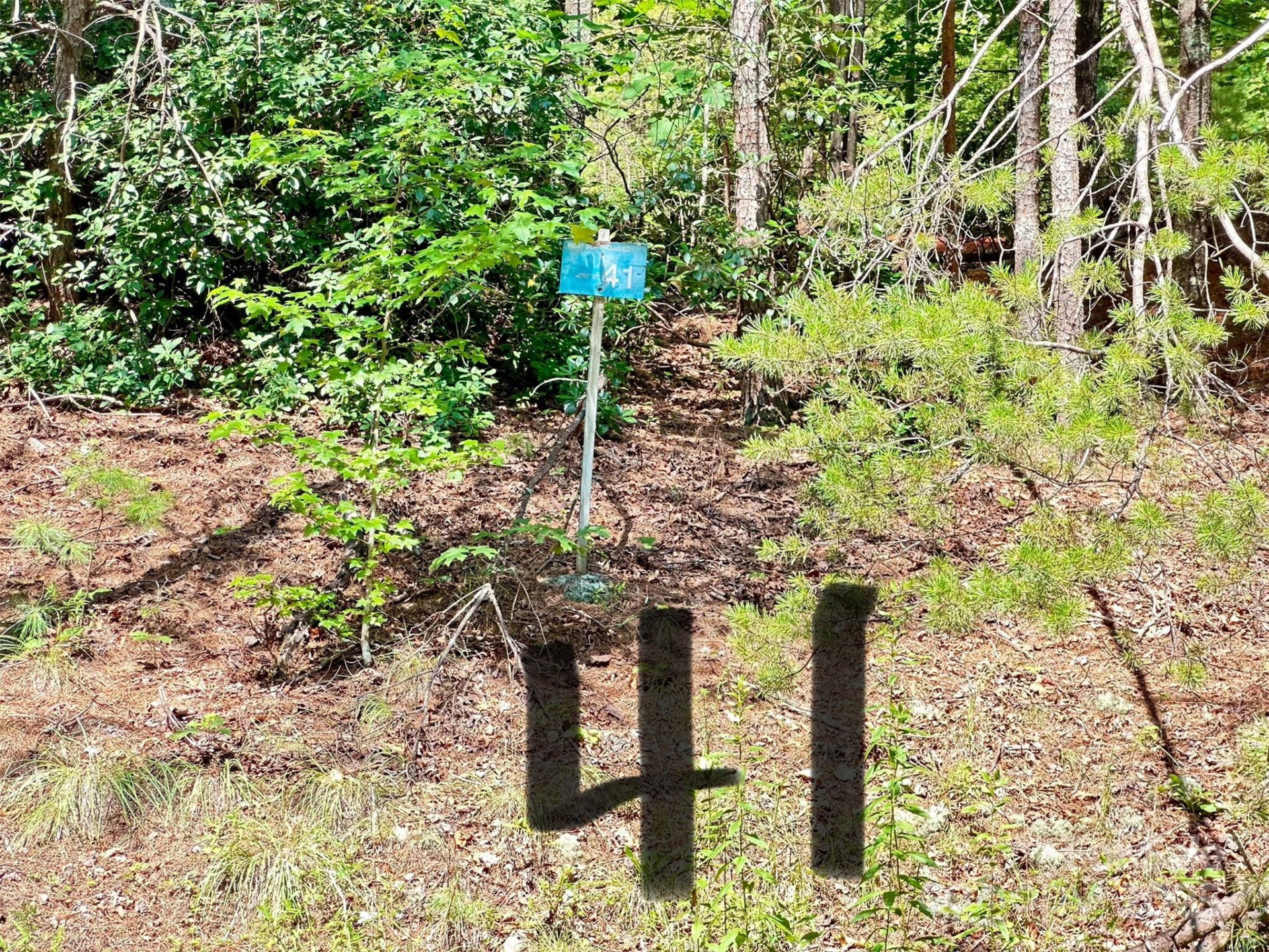 00 Plantation Drive #40 & 41 - Photo 5