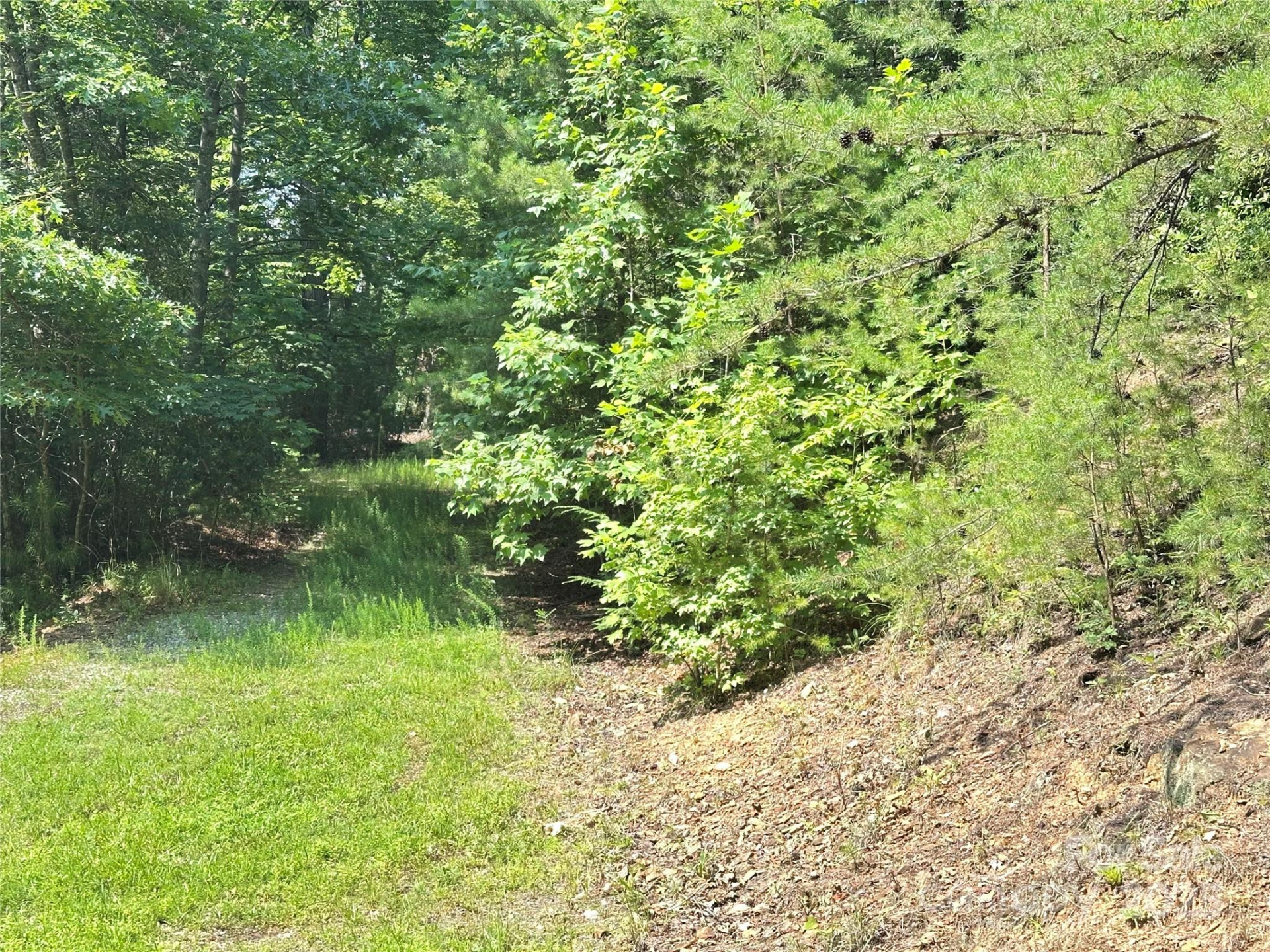 00 Plantation Drive #40 & 41 - Photo 6