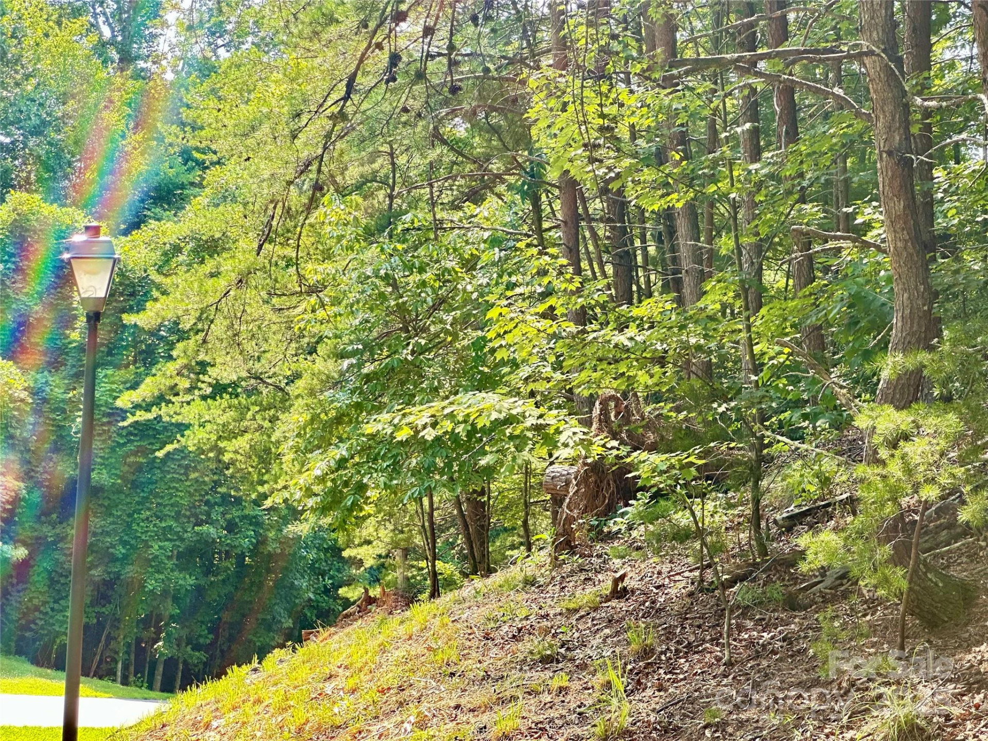 00 Plantation Drive #40 & 41 - Photo 8