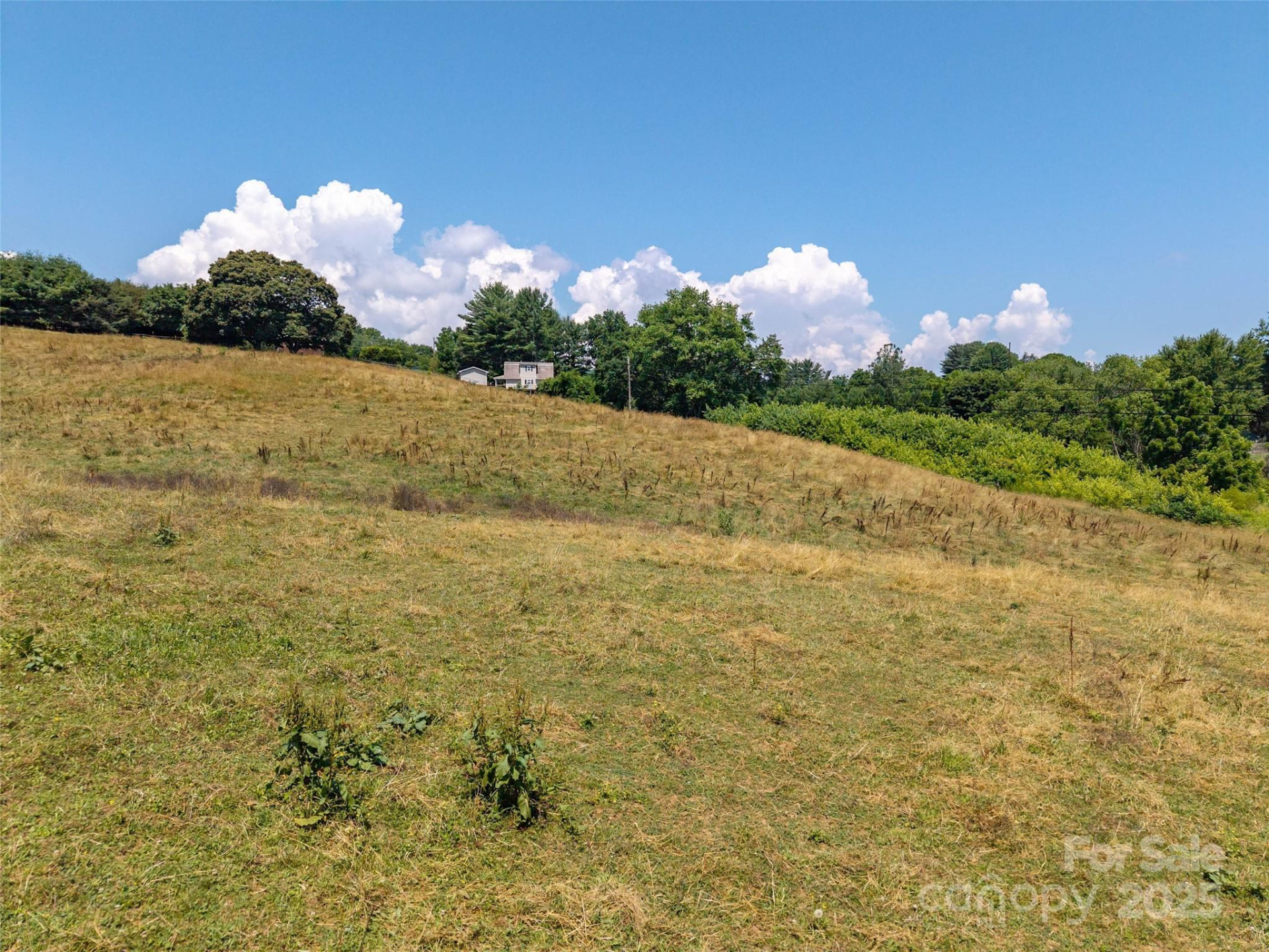 00 Summer Breeze Drive - Photo 5