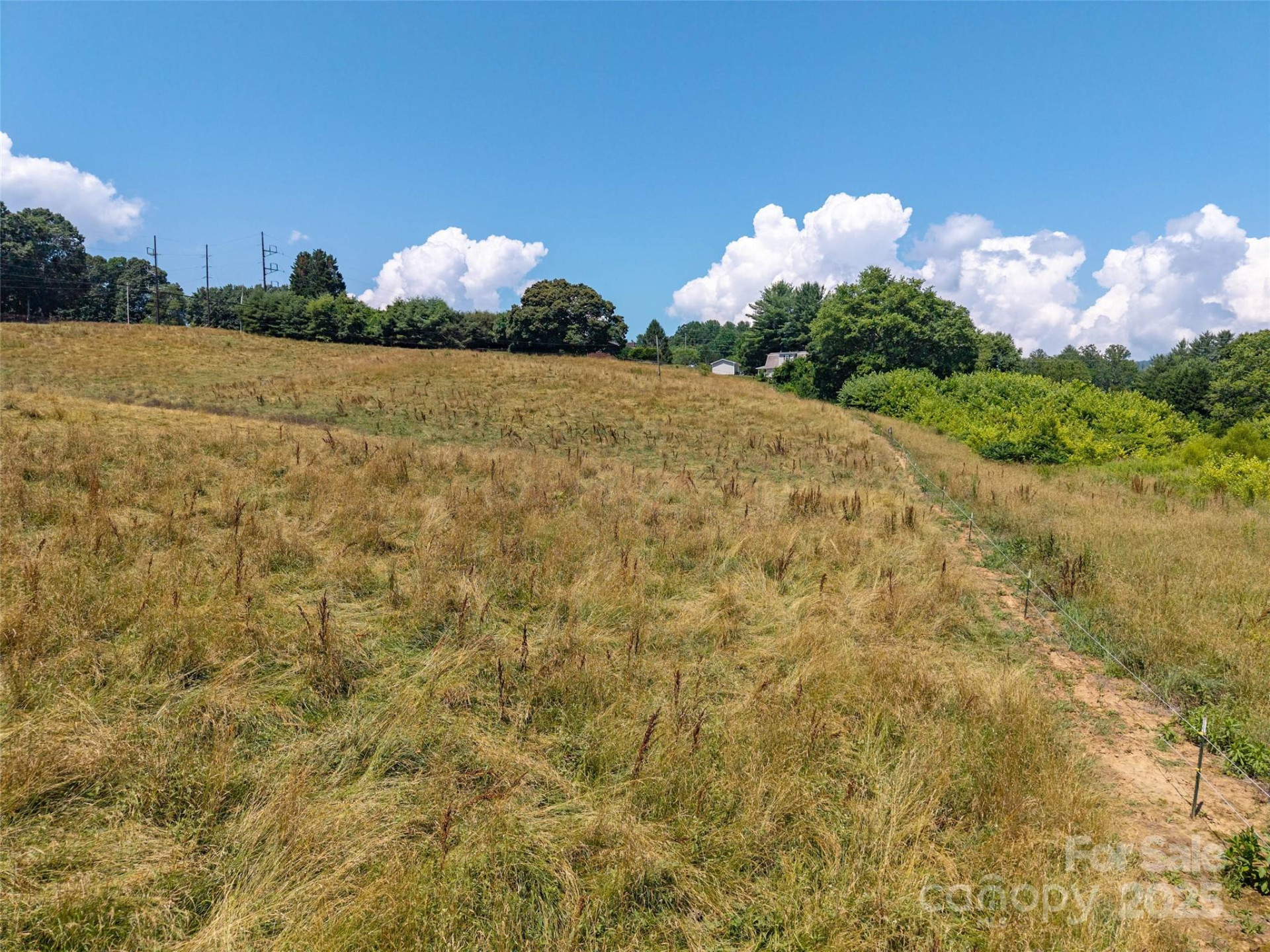 00 Summer Breeze Drive - Photo 6