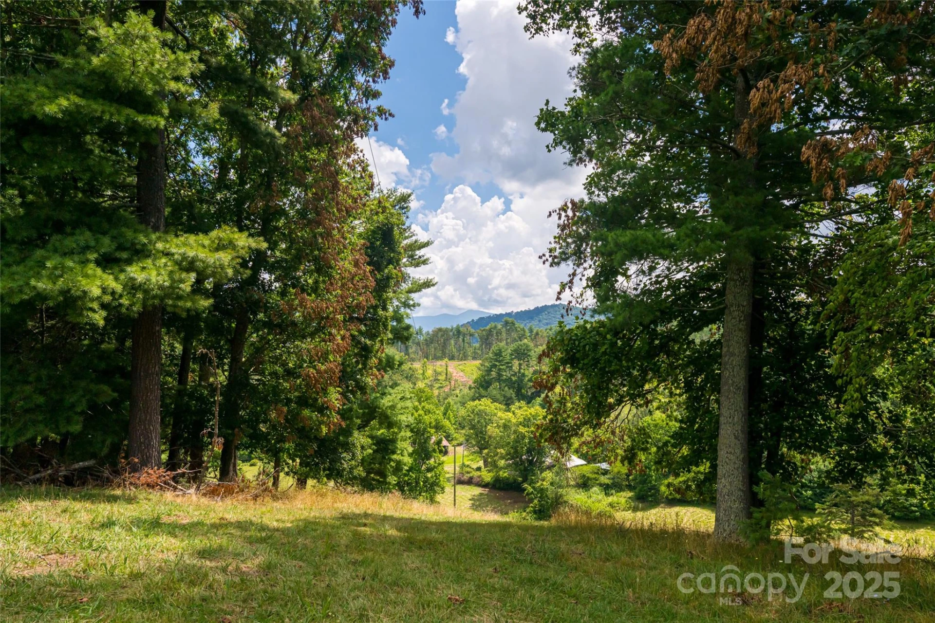 25 Elkins Branch Road - Photo 22