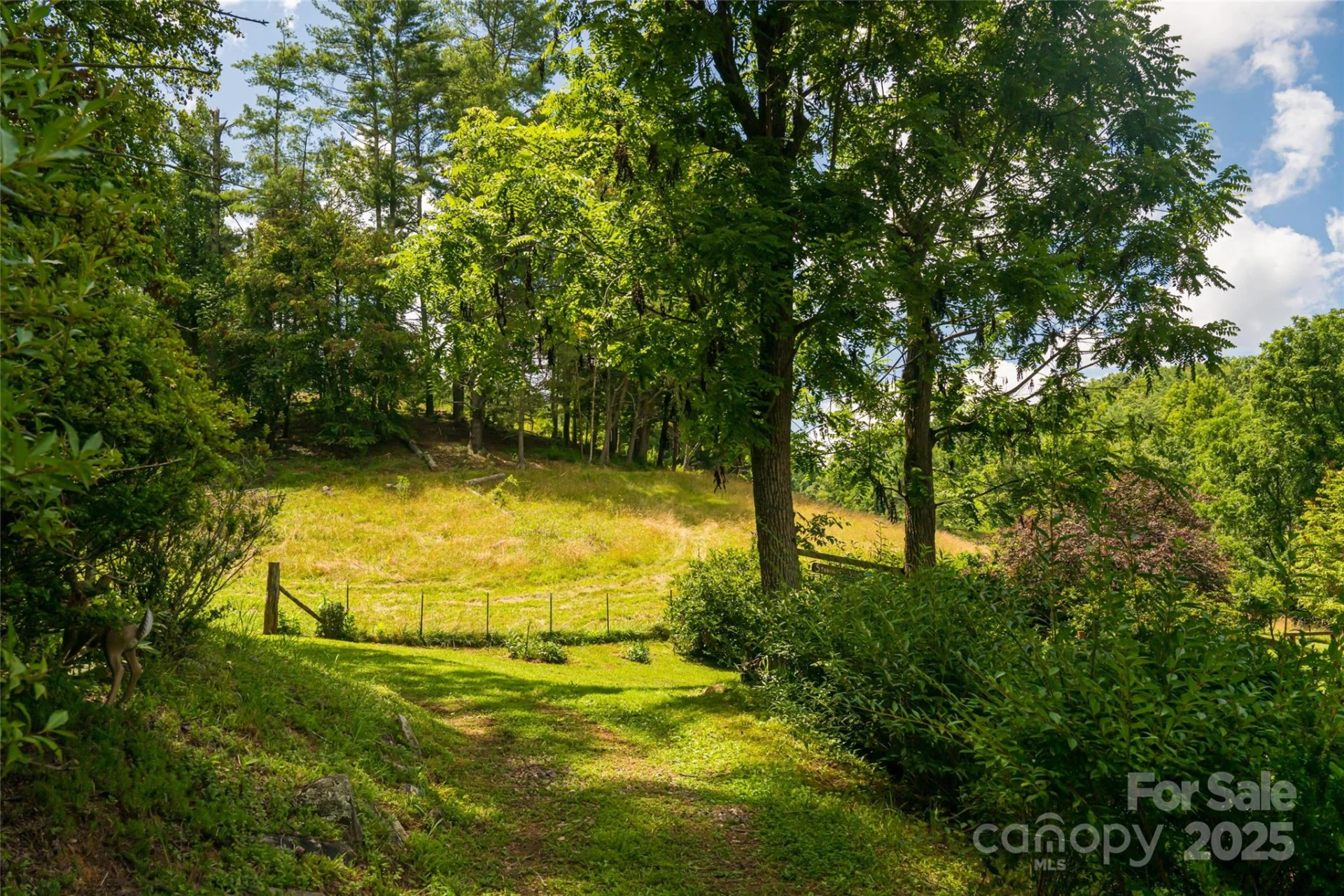 25 Elkins Branch Road - Photo 23