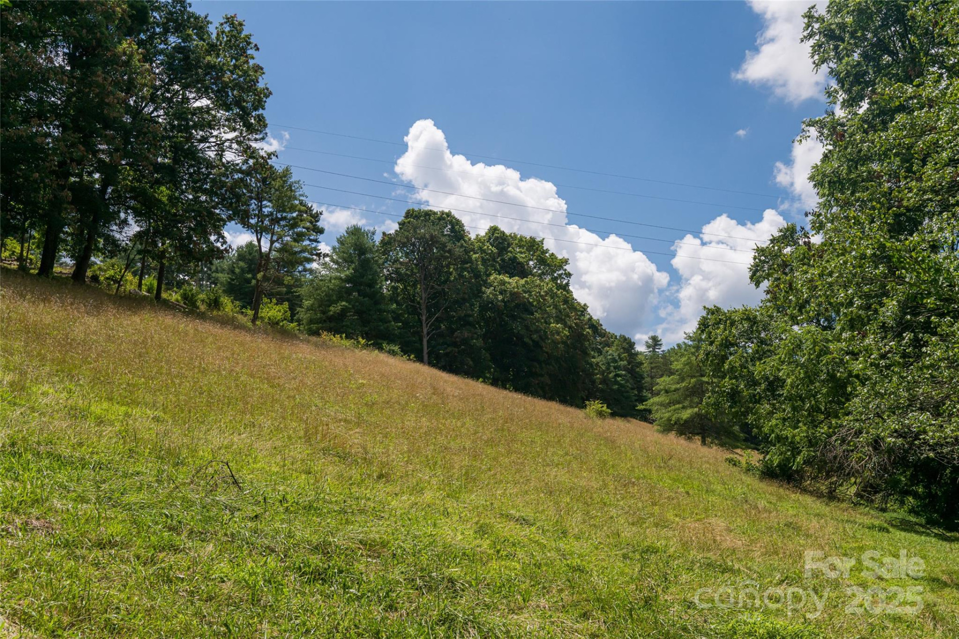 25 Elkins Branch Road - Photo 25