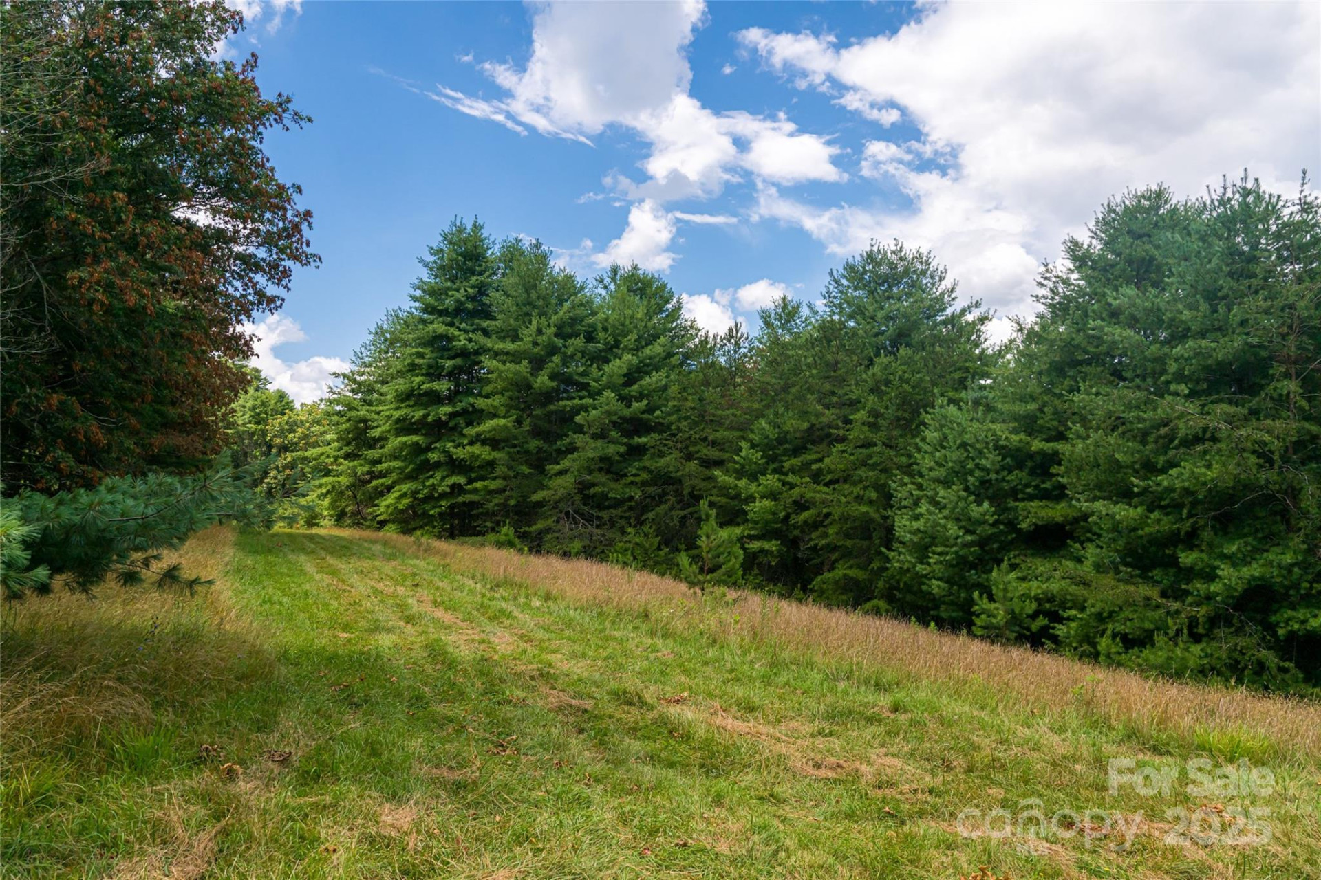 25 Elkins Branch Road - Photo 26