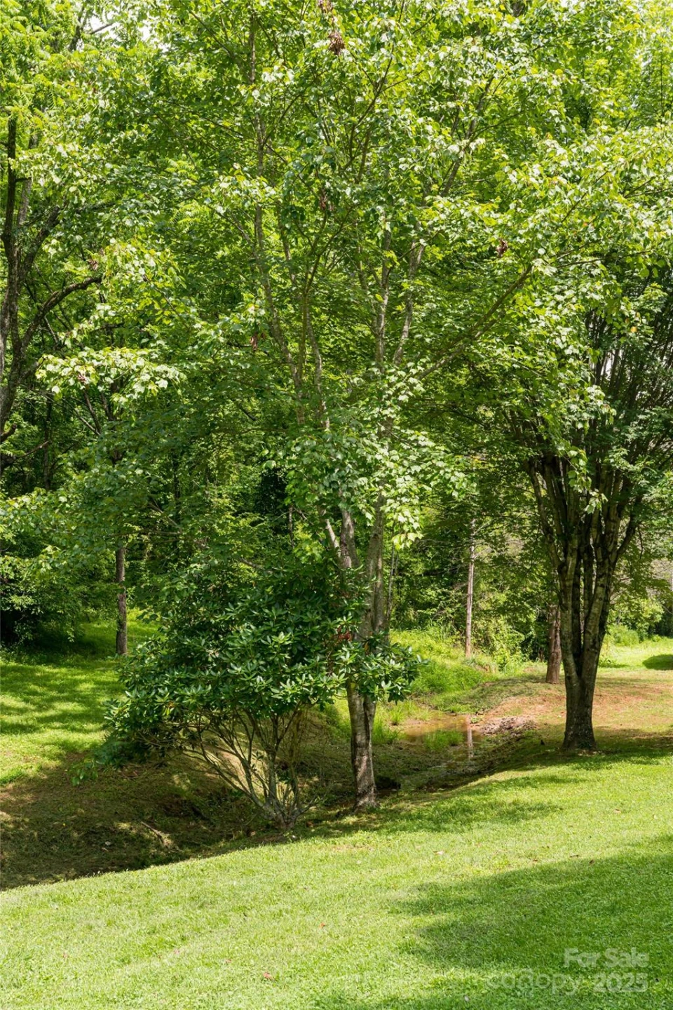 25 Elkins Branch Road - Photo 32