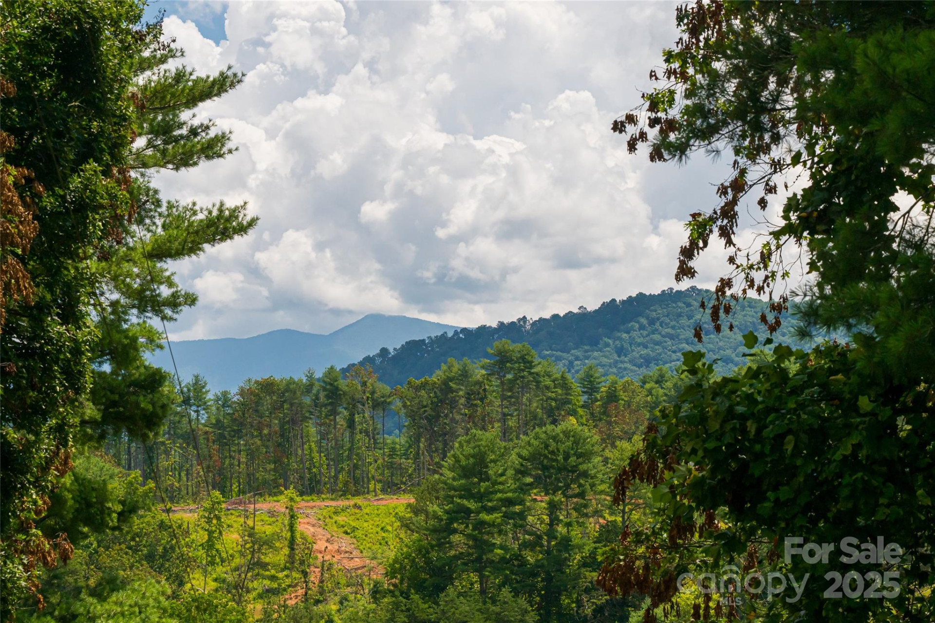 25 Elkins Branch Road - Photo 39