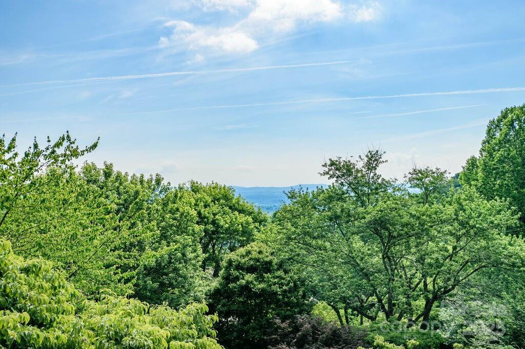 153 Country Ridge Road - Photo 41