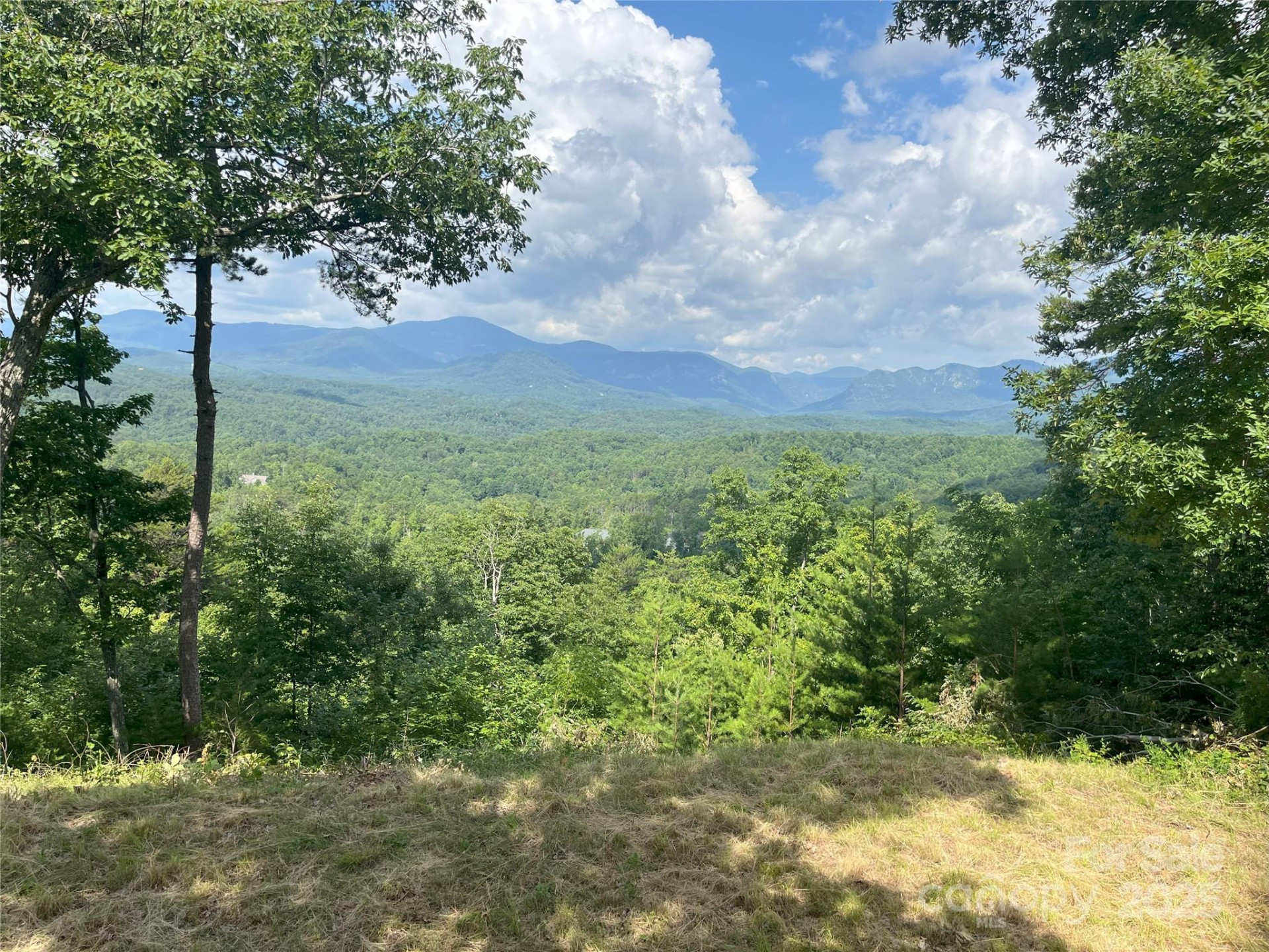 00 Bills Mountain Trail #6 - Photo 2