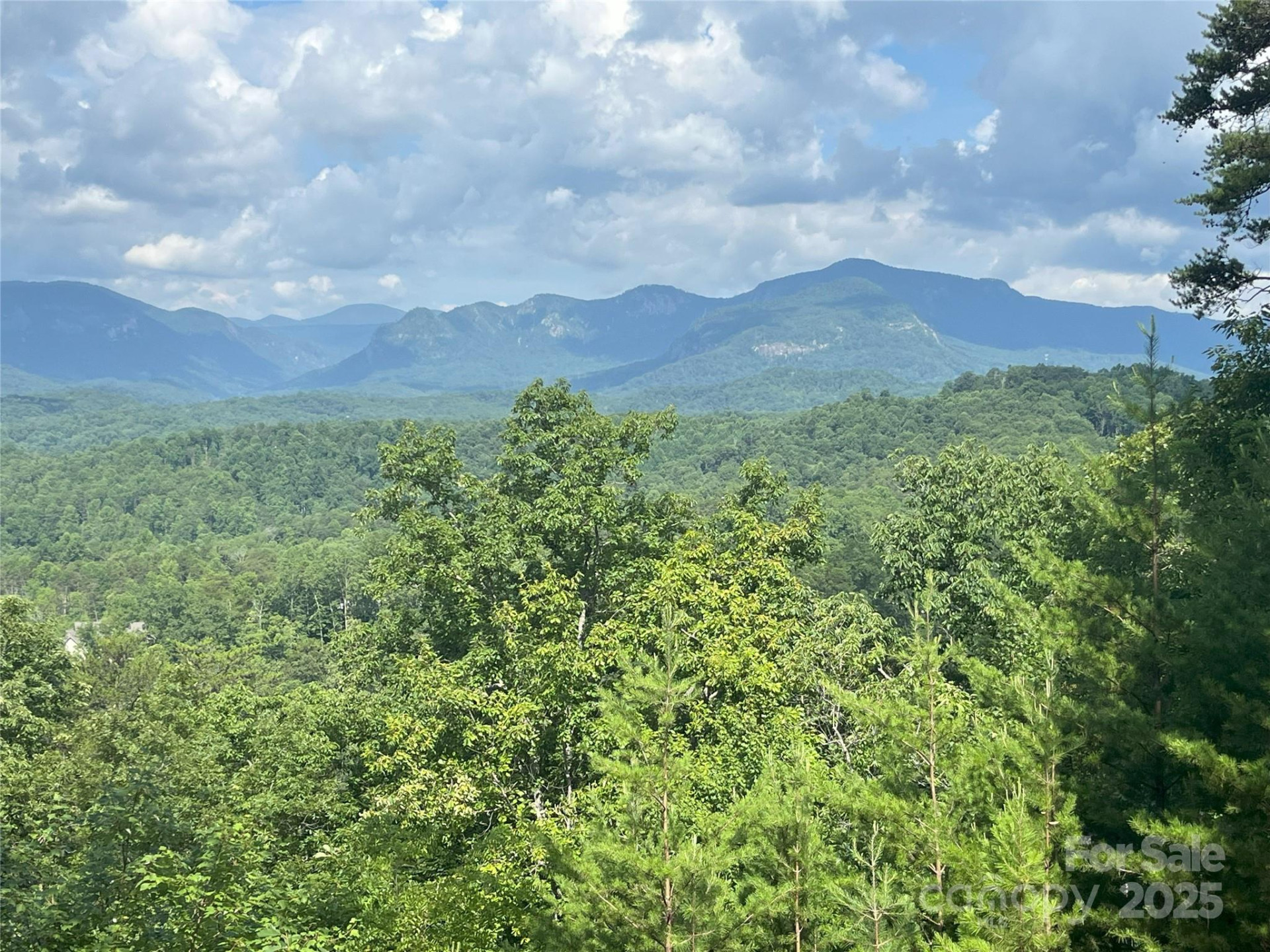 00 Bills Mountain Trail #6 - Photo 3