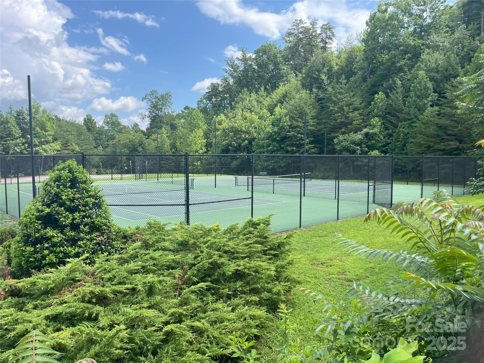 00 Bills Mountain Trail #6 - Photo 25