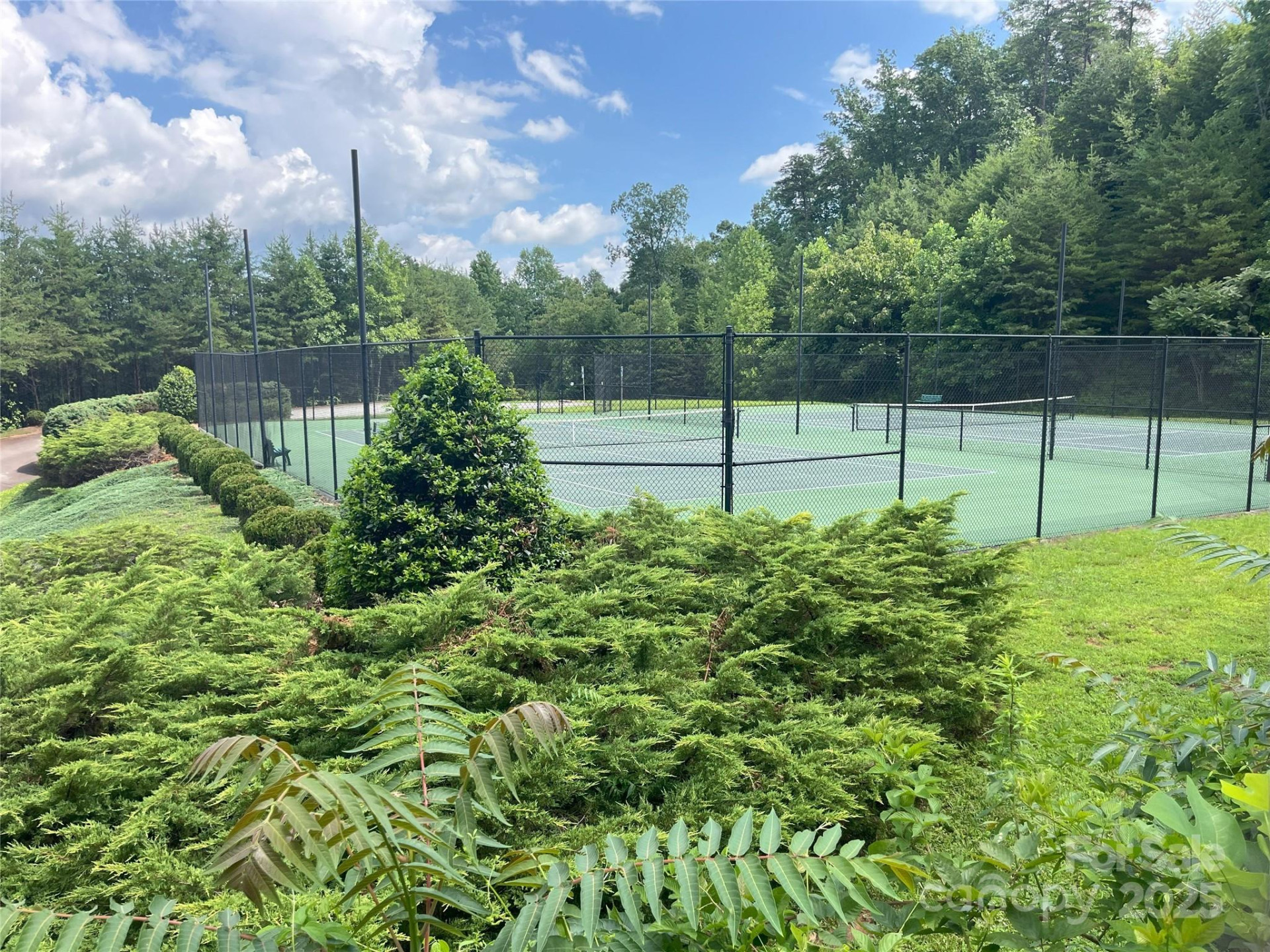 00 Bills Mountain Trail #6 - Photo 26