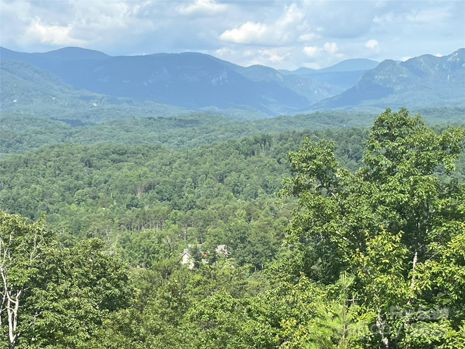 00 Bills Mountain Trail #6 - Photo 4