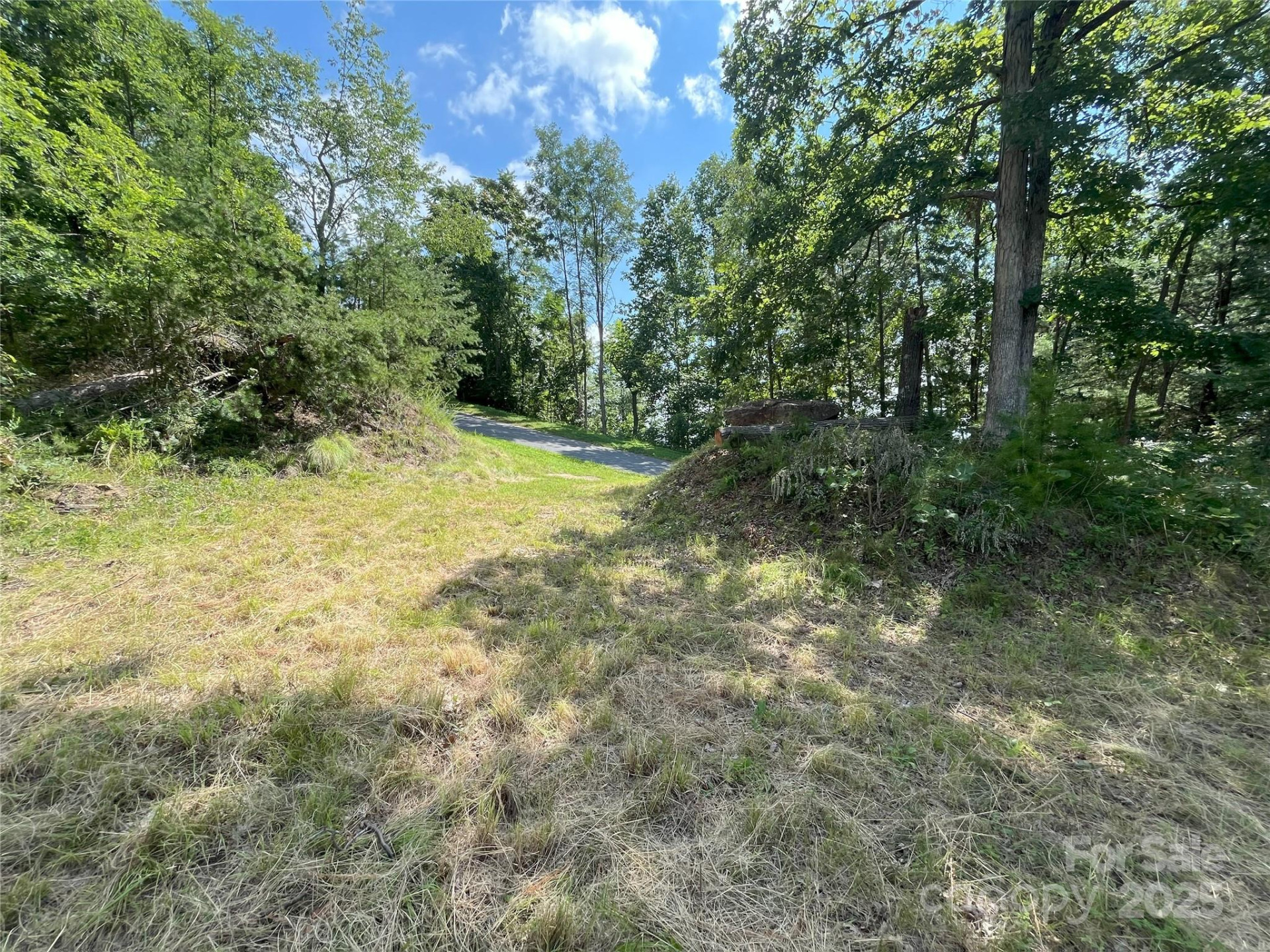 00 Bills Mountain Trail #6 - Photo 7