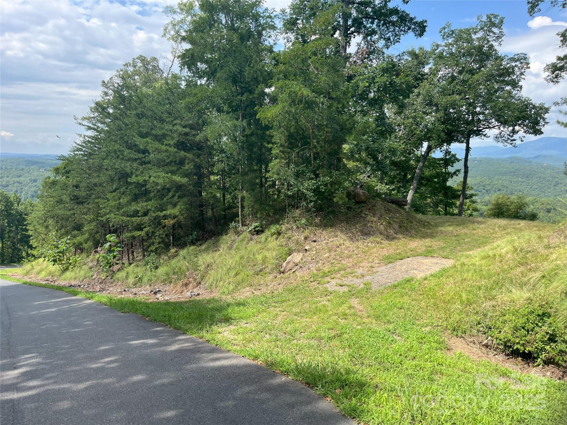 00 Bills Mountain Trail #6 - Photo 8