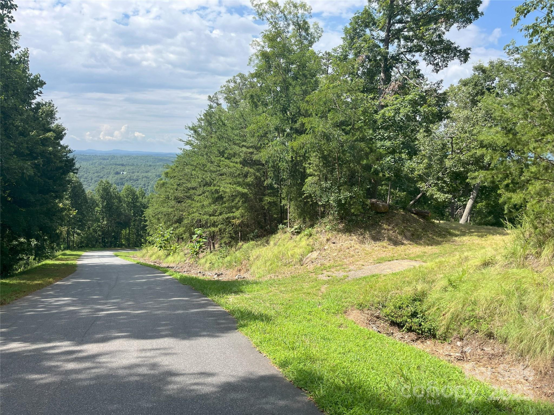 00 Bills Mountain Trail #6 - Photo 9