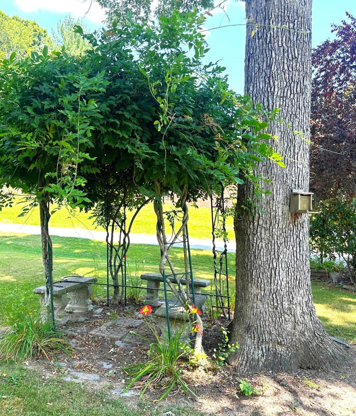 25 Norman Road - Photo 37