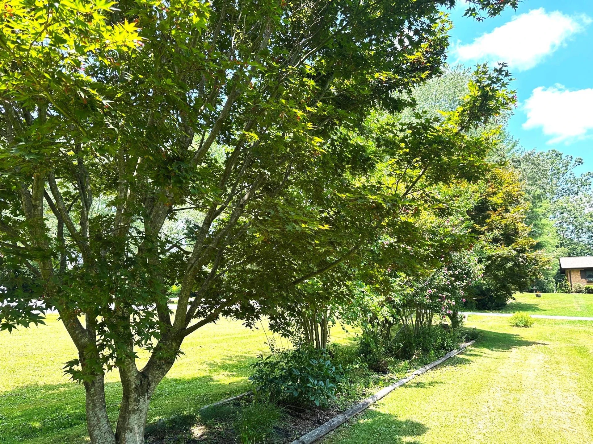 25 Norman Road - Photo 103
