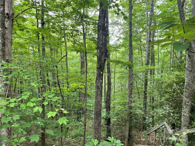 Lt 279 Cabin Flats Road, Balsam, NC, 28707