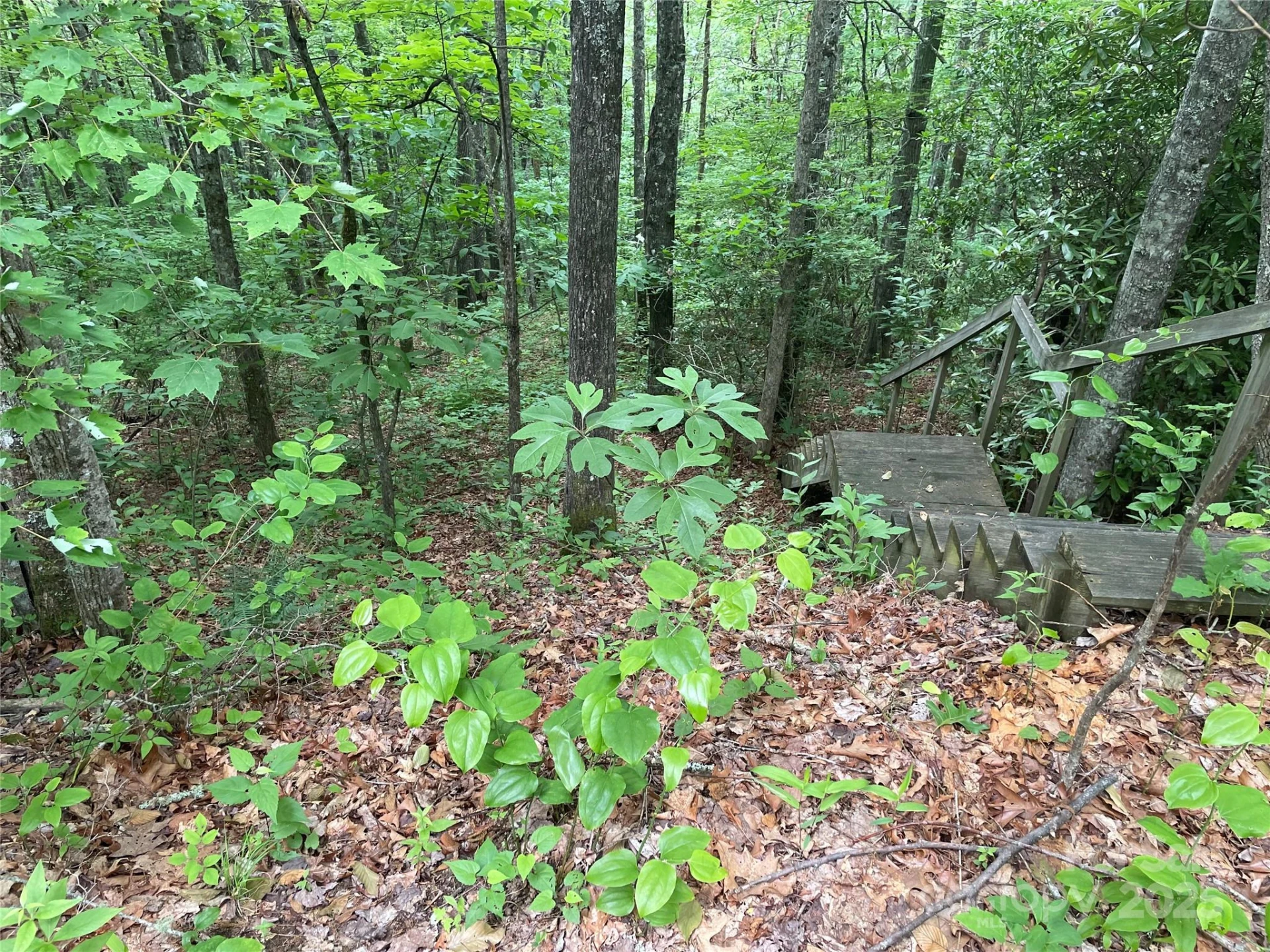 Lt 279 Cabin Flats Road #279 - Photo 2