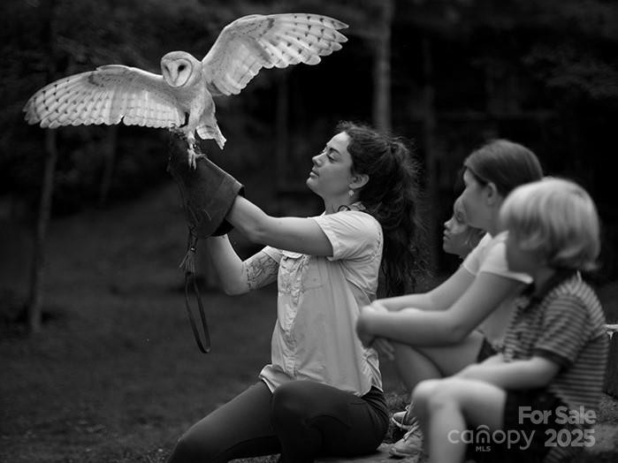 Lt 279 Cabin Flats Road #279 - Photo 15