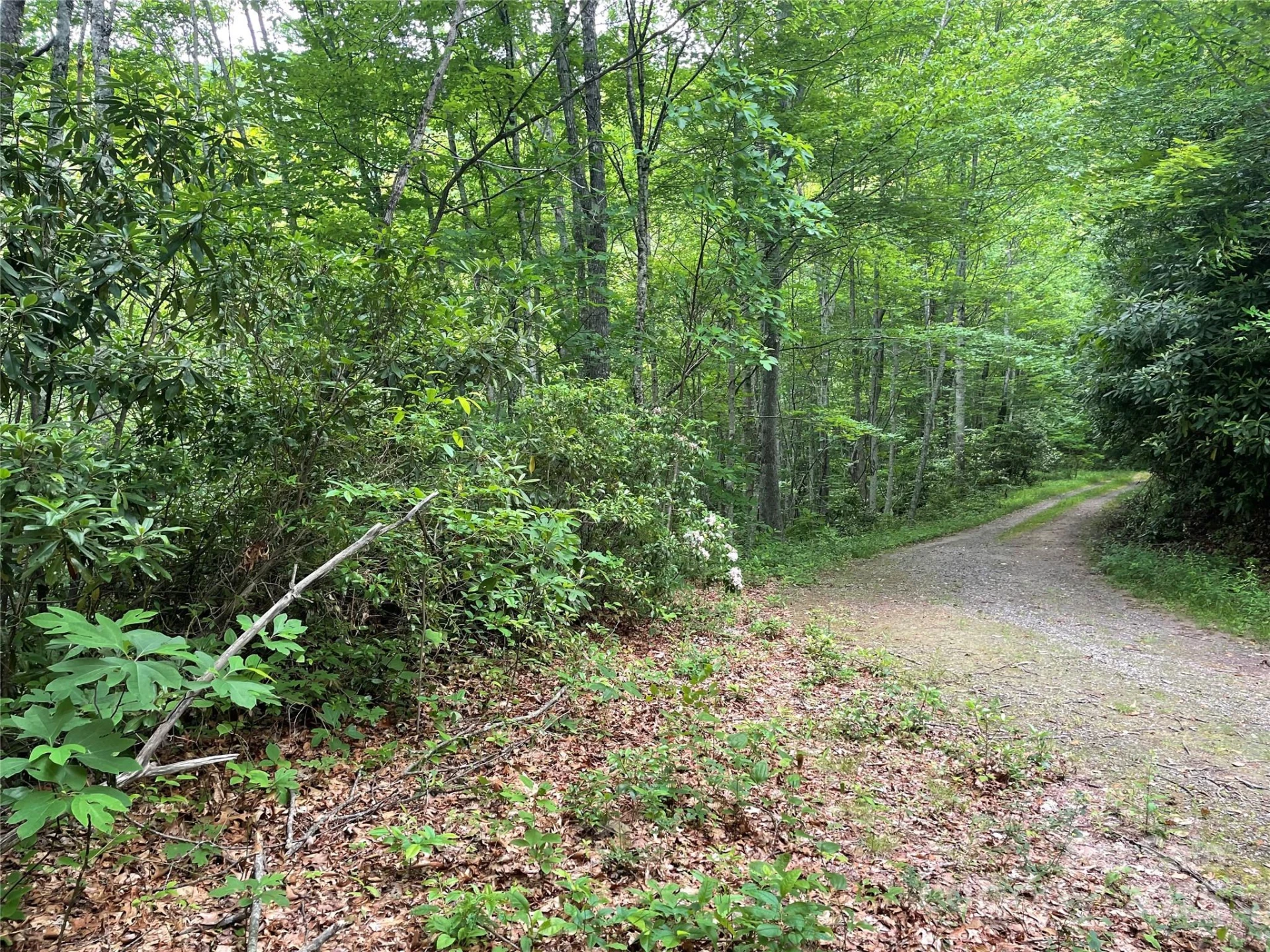 Lt 279 Cabin Flats Road #279 - Photo 3