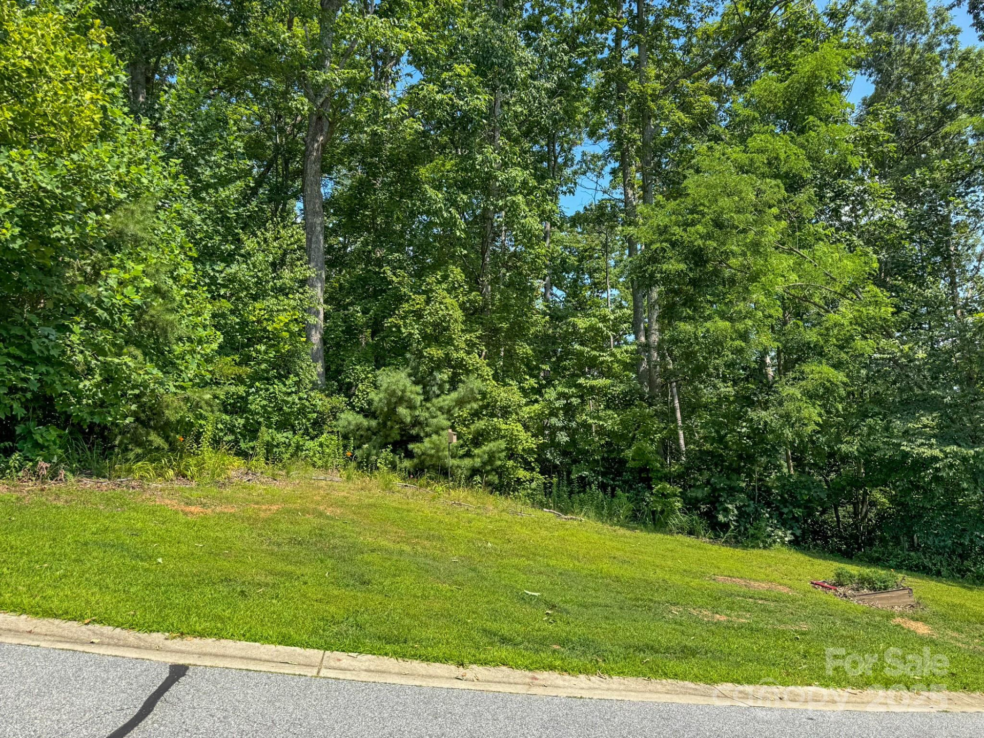 195 Carriage Crest Drive - Photo 2