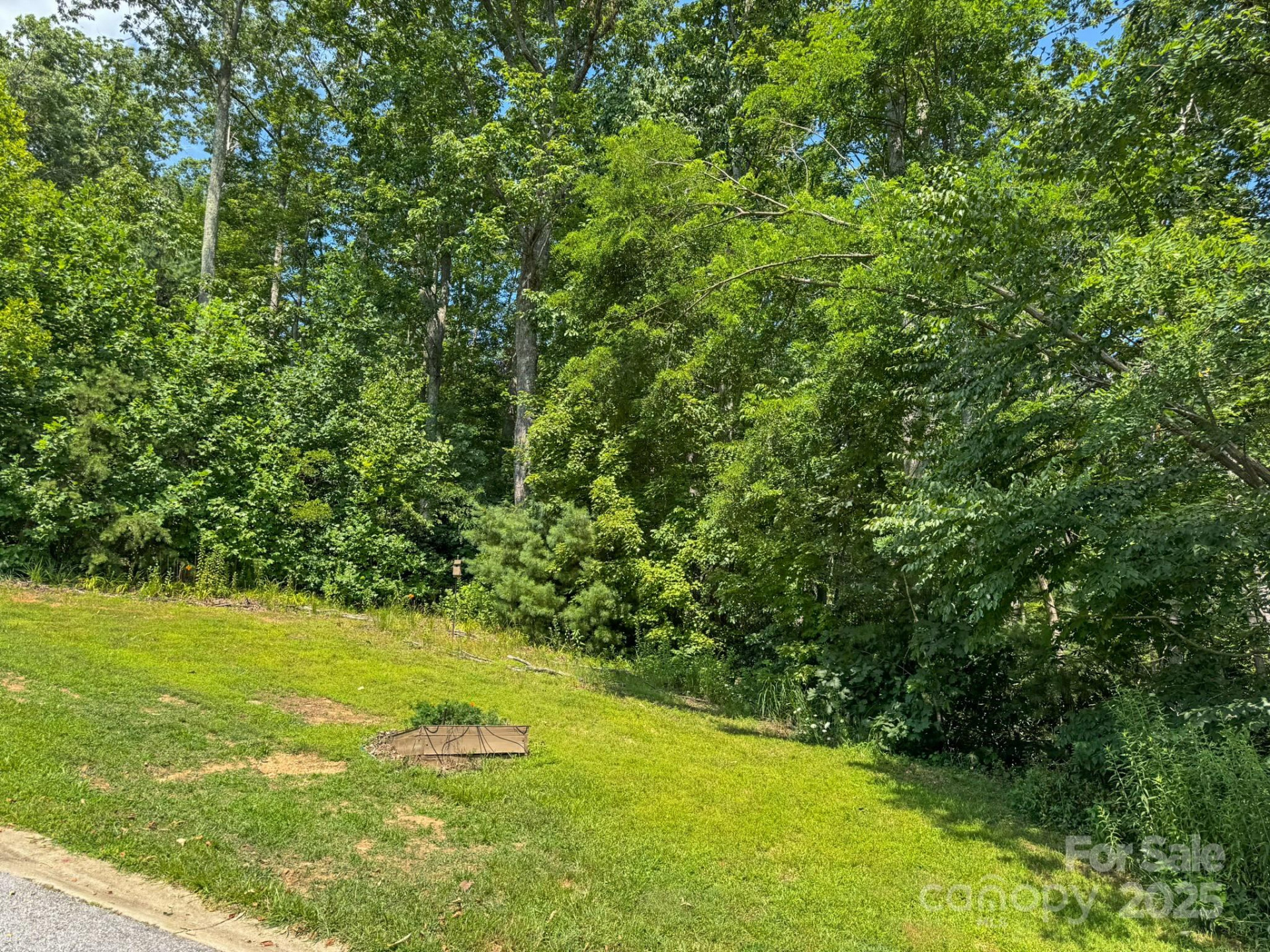 195 Carriage Crest Drive - Photo 3