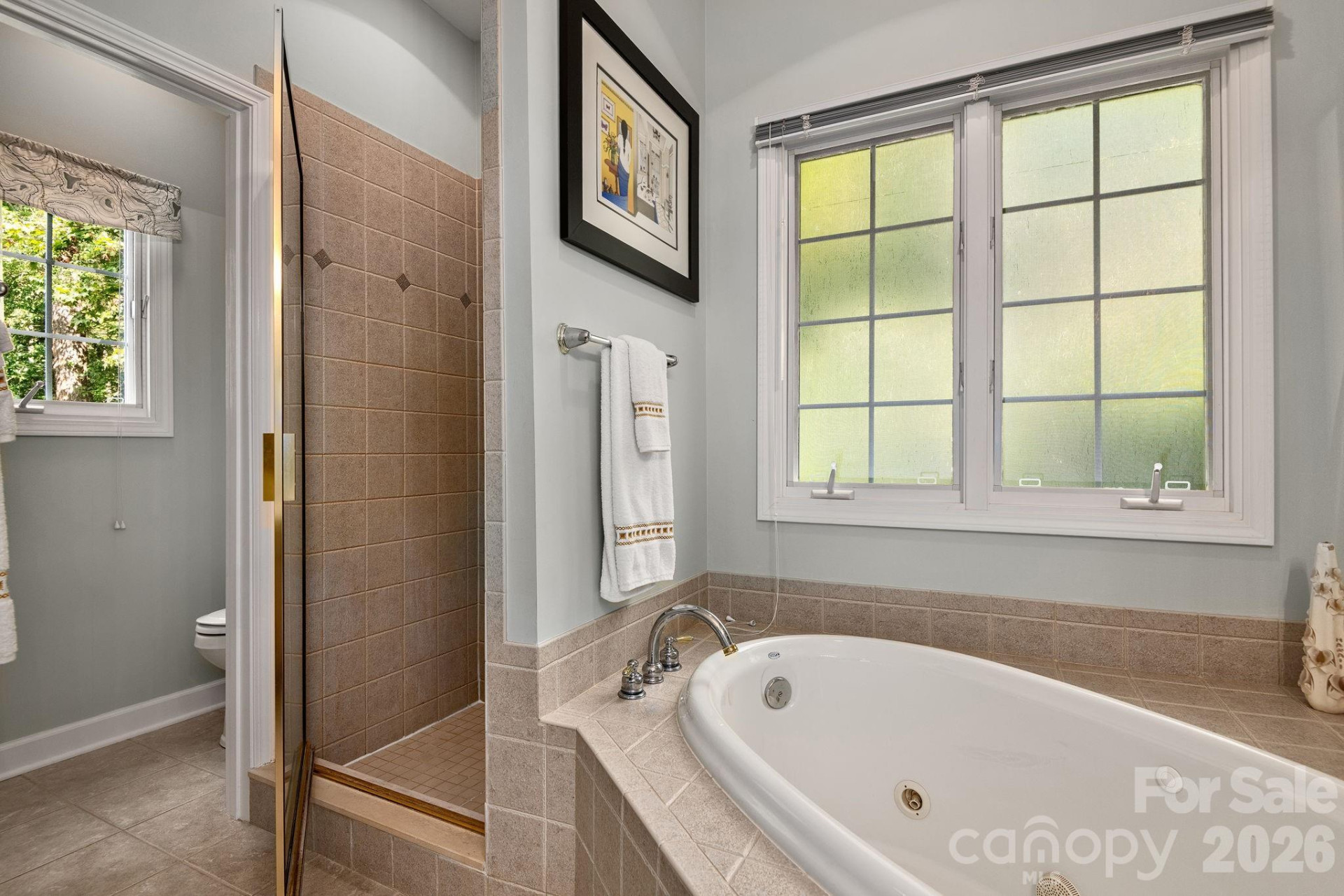 212 Blue Ridge Vista - Photo 18