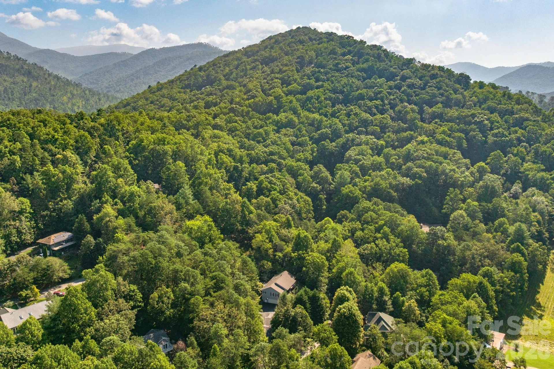 212 Blue Ridge Vista - Photo 40