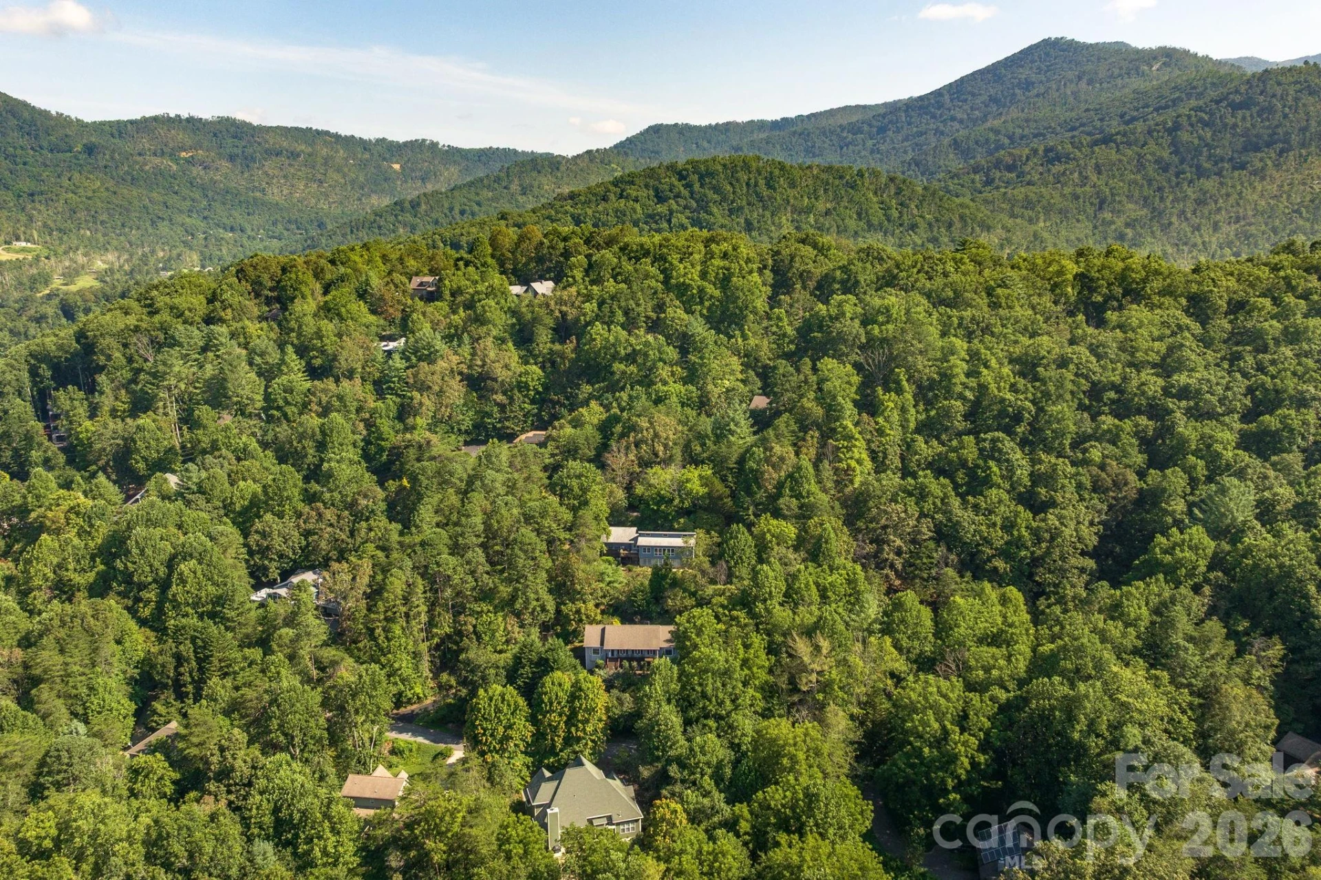 212 Blue Ridge Vista - Photo 41