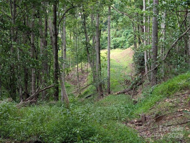 99999 Running Deer Lane