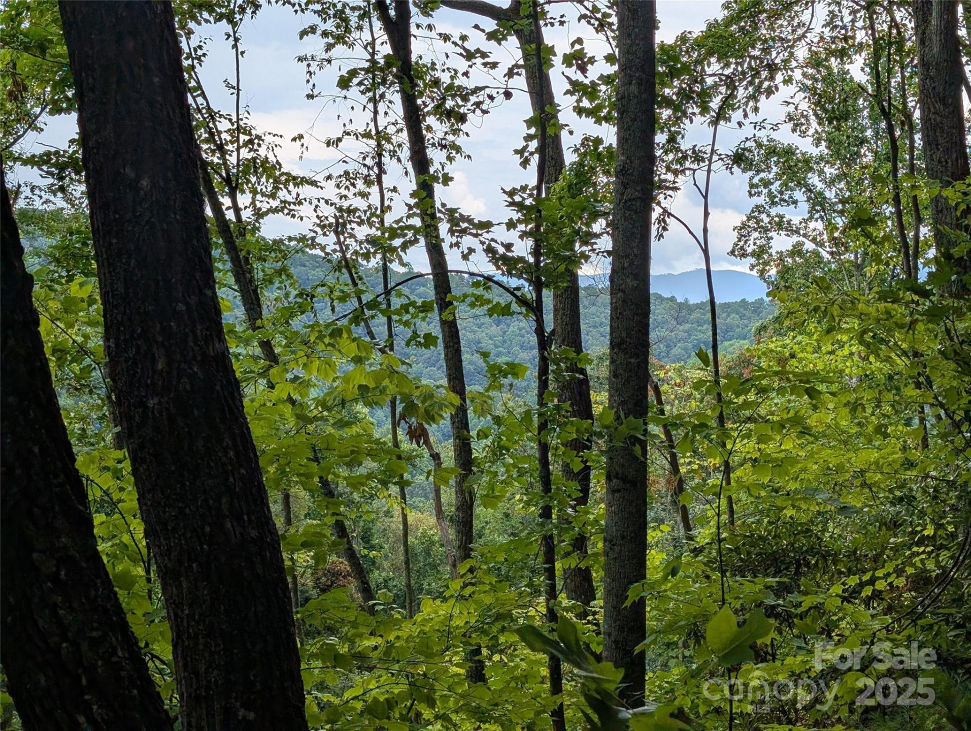 99999 Running Deer Lane #25 - Photo 2